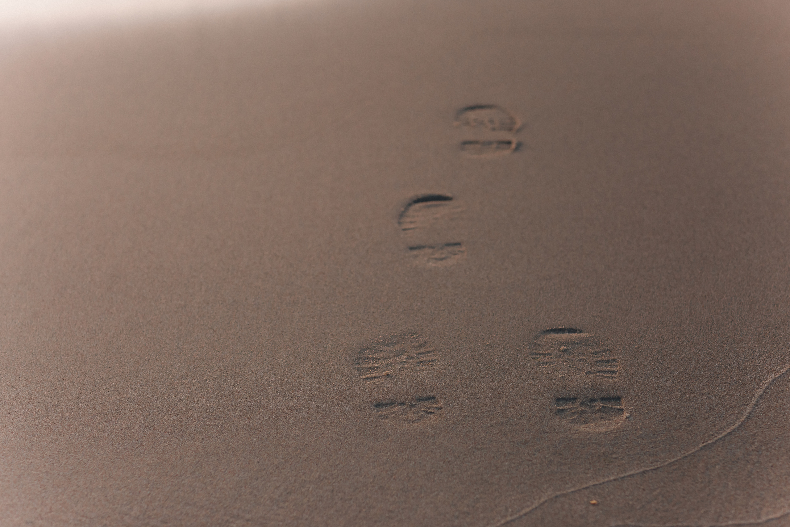 Елизавета. Фотограф Зеленоградск Красильникова Елена