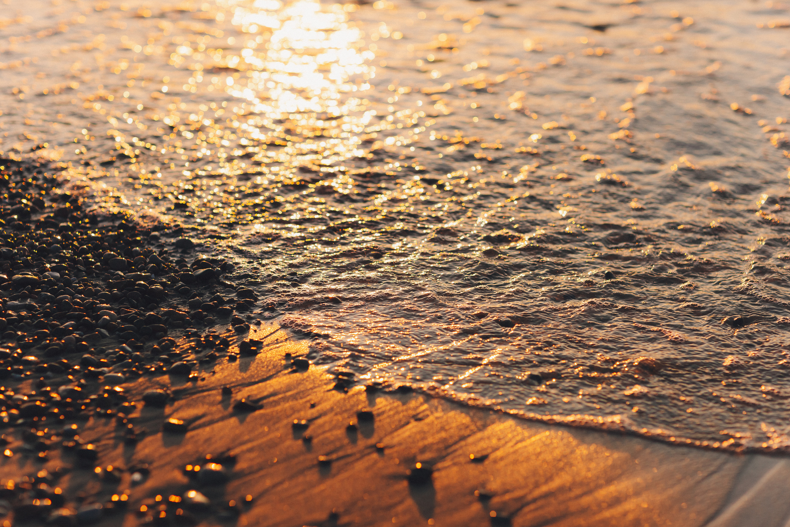 Елизавета. Фотограф Зеленоградск Красильникова Елена