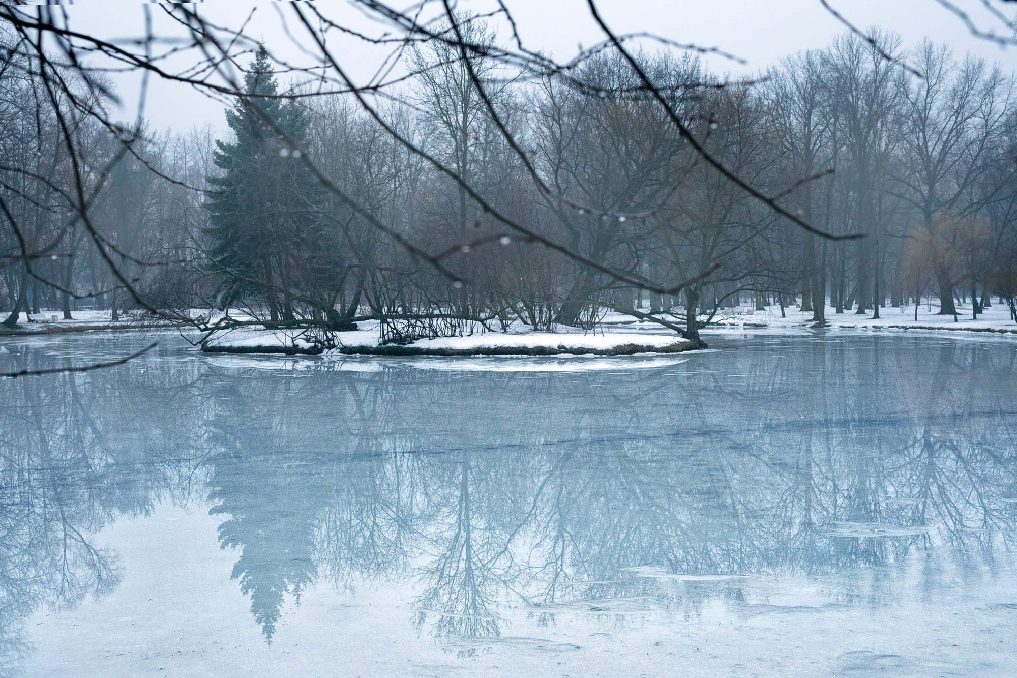Наталья. Семейный и детский фотограф в Санкт-Петербург. Natalia Fadel
