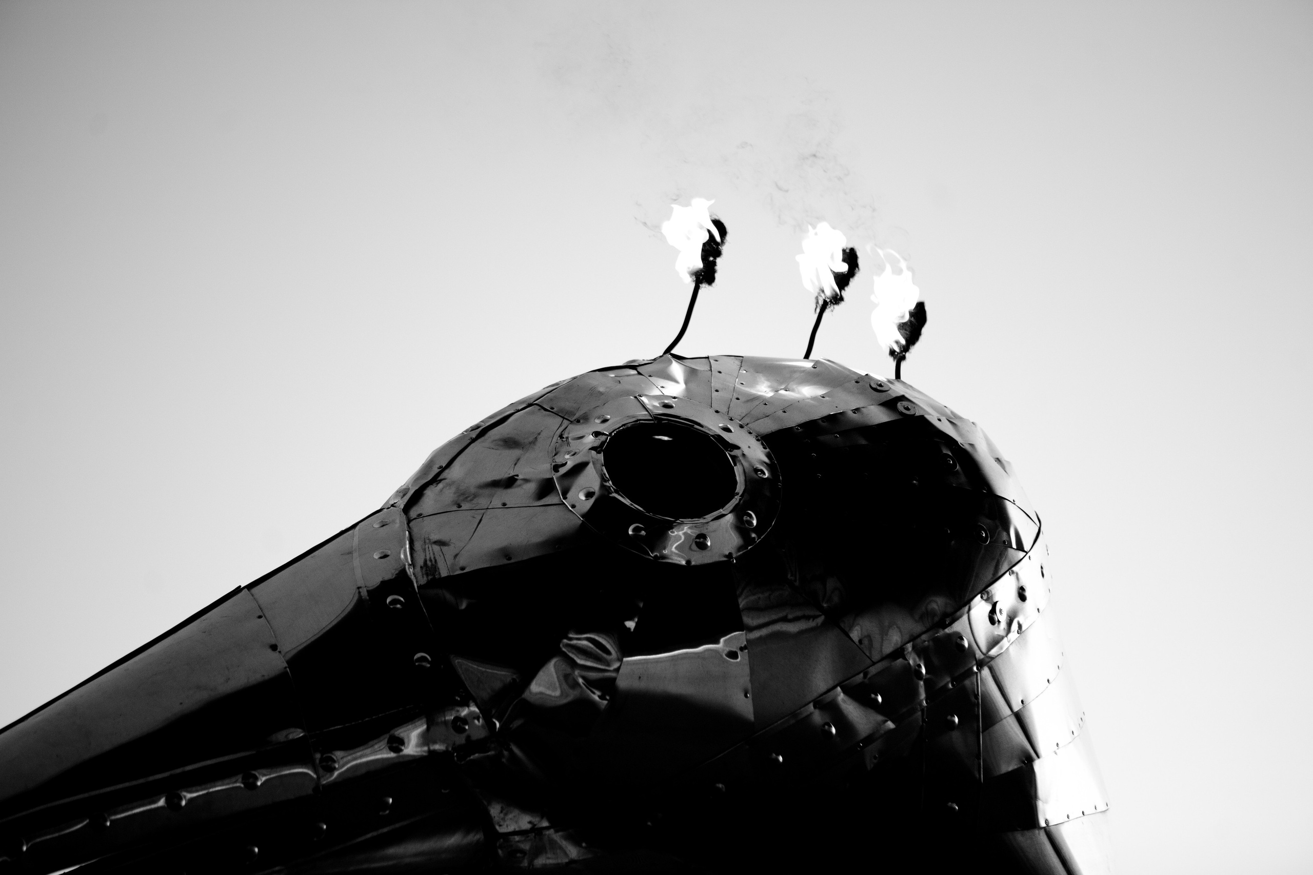 Bart Dorsa. Against The Sun. The Flaming Duck. Дмитрий Смирнов. Фотография, дизайн