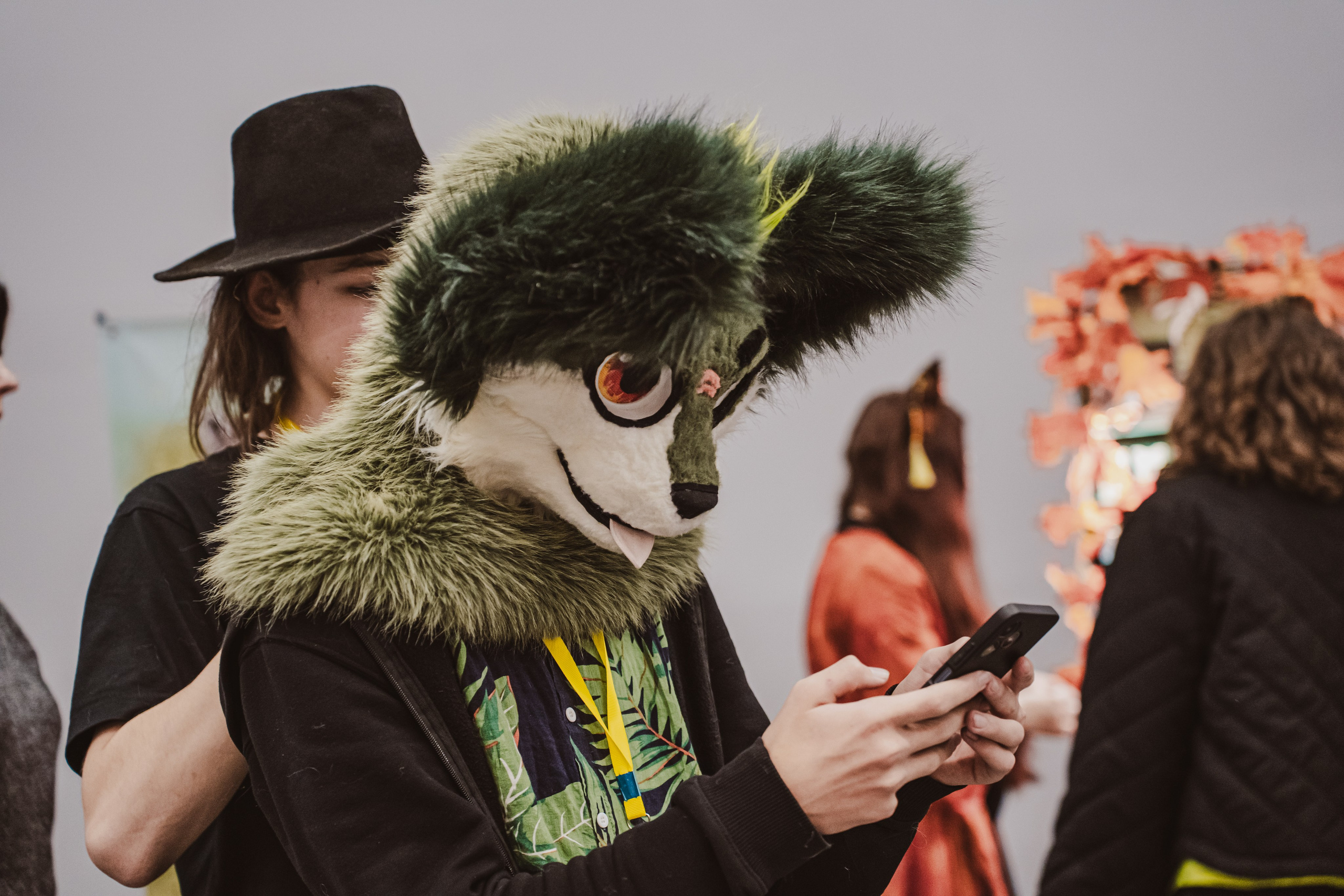 Fox Family fest. Репортажный фотограф Анастасия Рубцова