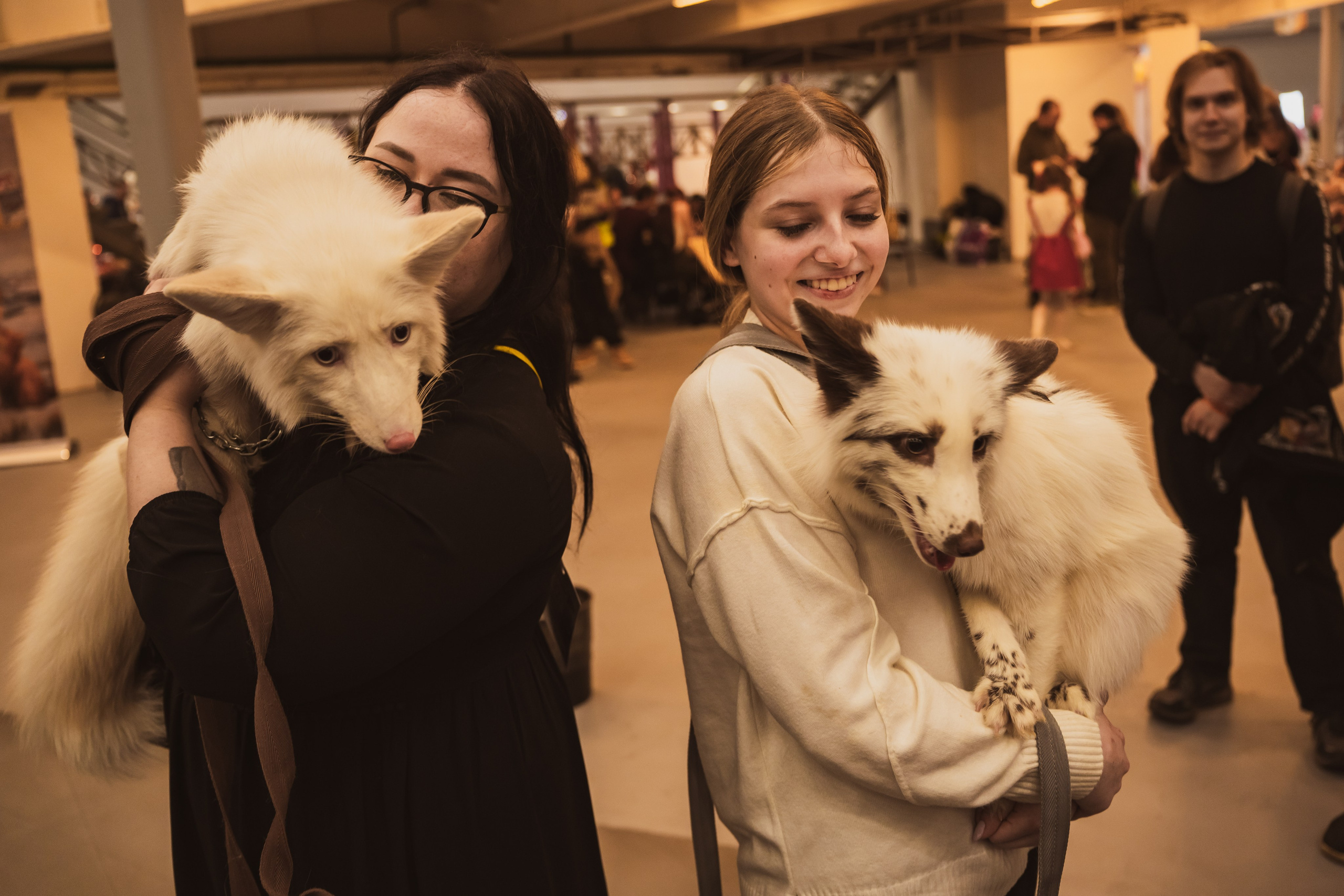 Fox Family fest. Репортажный фотограф Анастасия Рубцова