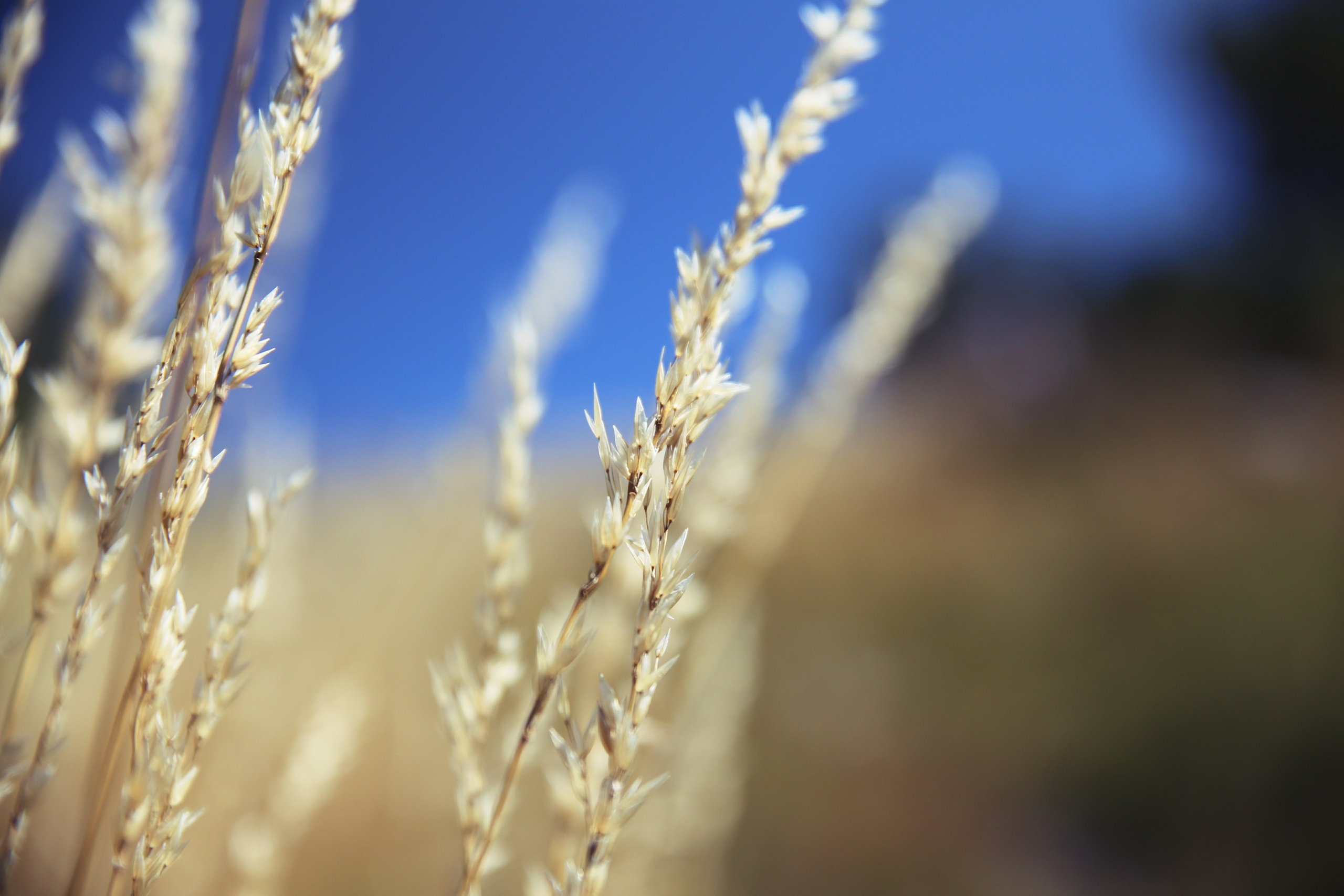 Моменты из жизни. Фотограф Василий Герасимов, Москва. Свадебная, репортажная фотосъемка