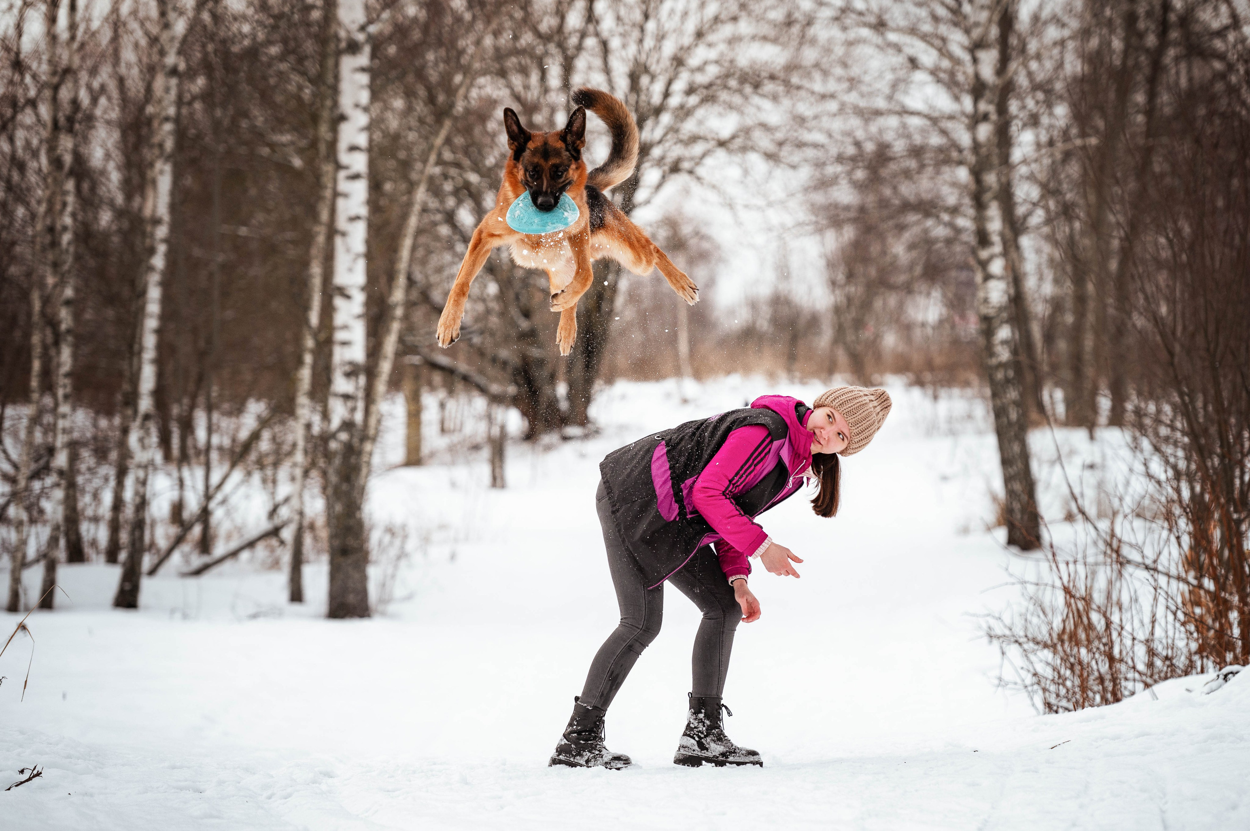 Вольт. Фотограф-анималист