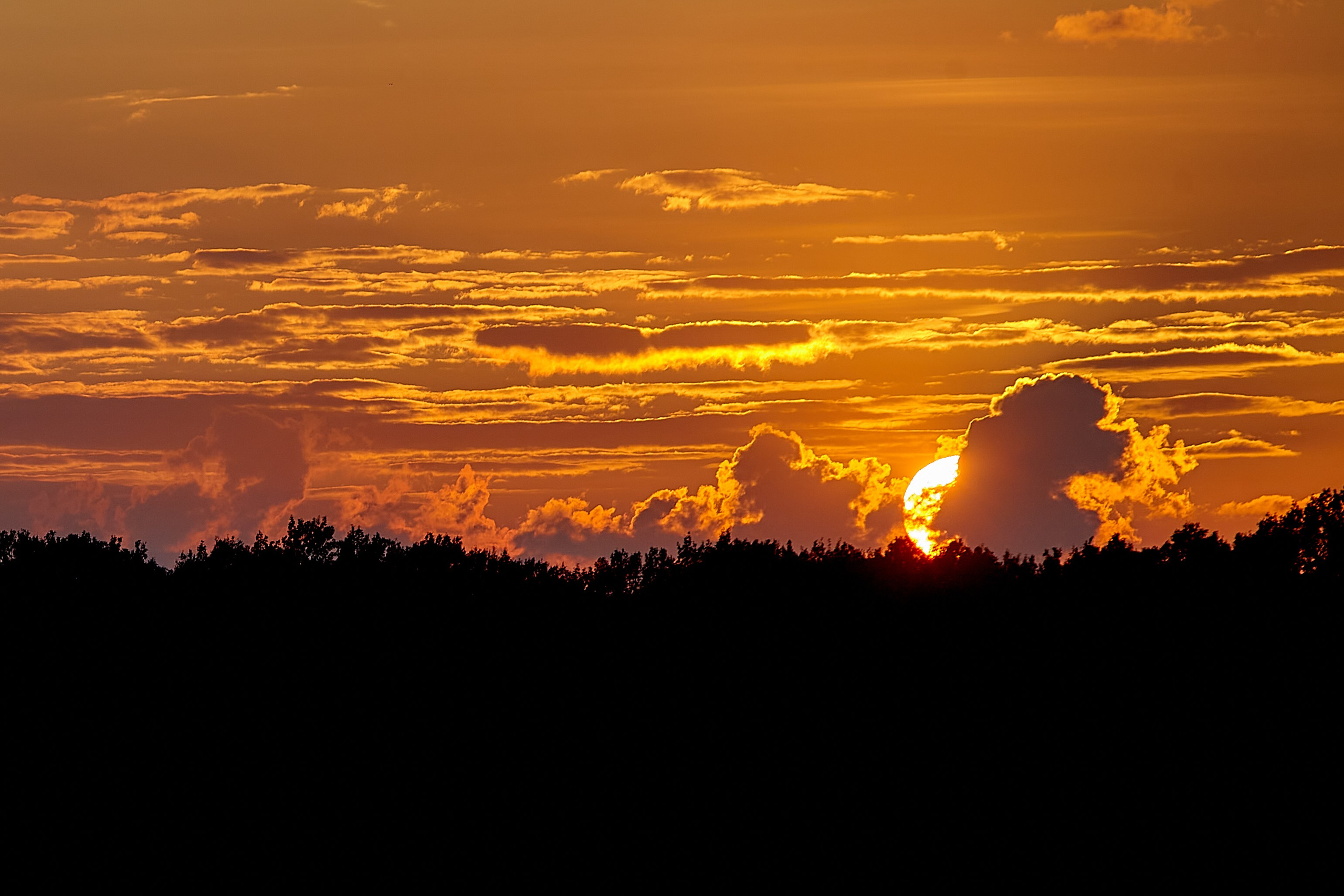 Фотографии природы