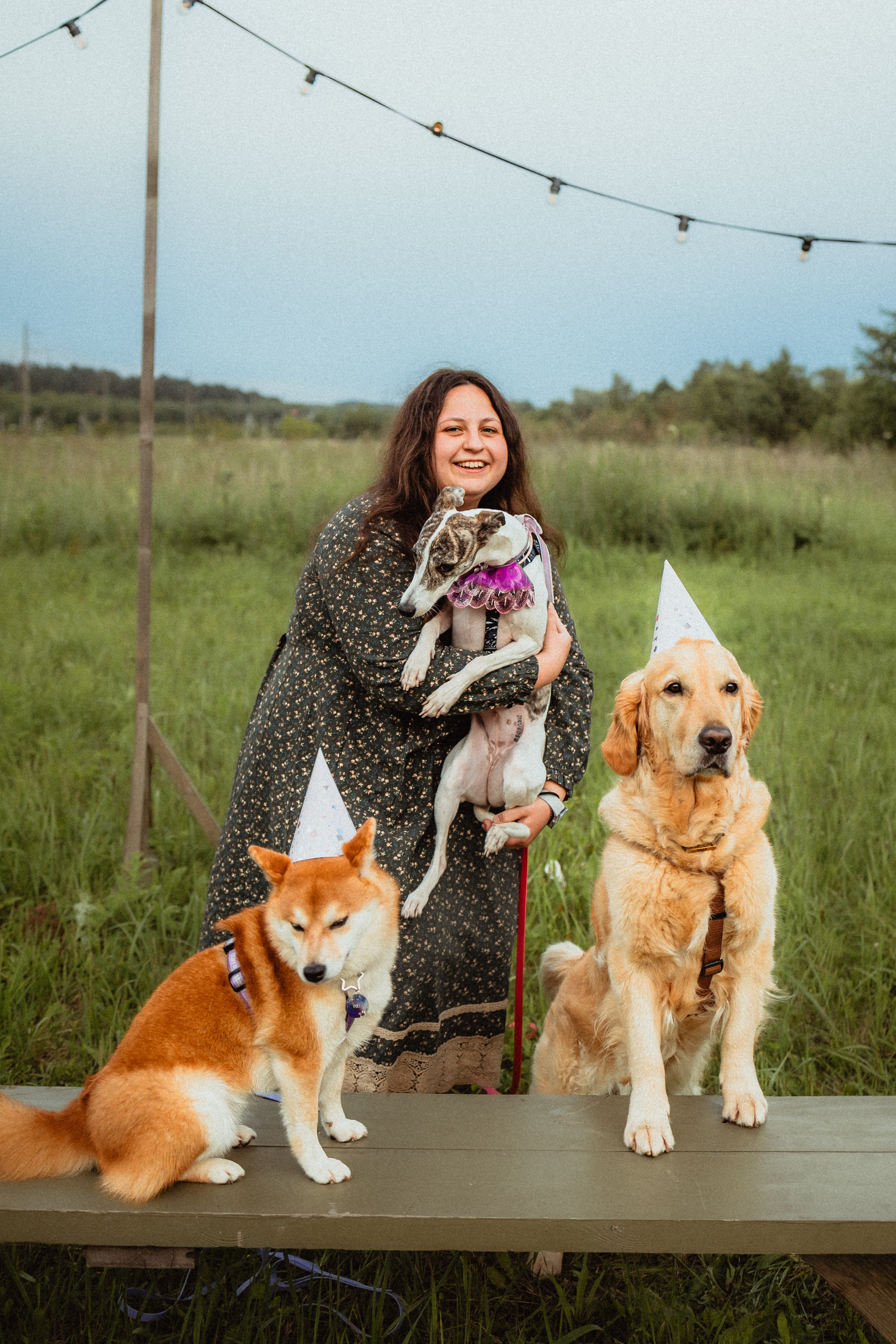 Выездной дог-тренинг от школы «Шерсть имею»