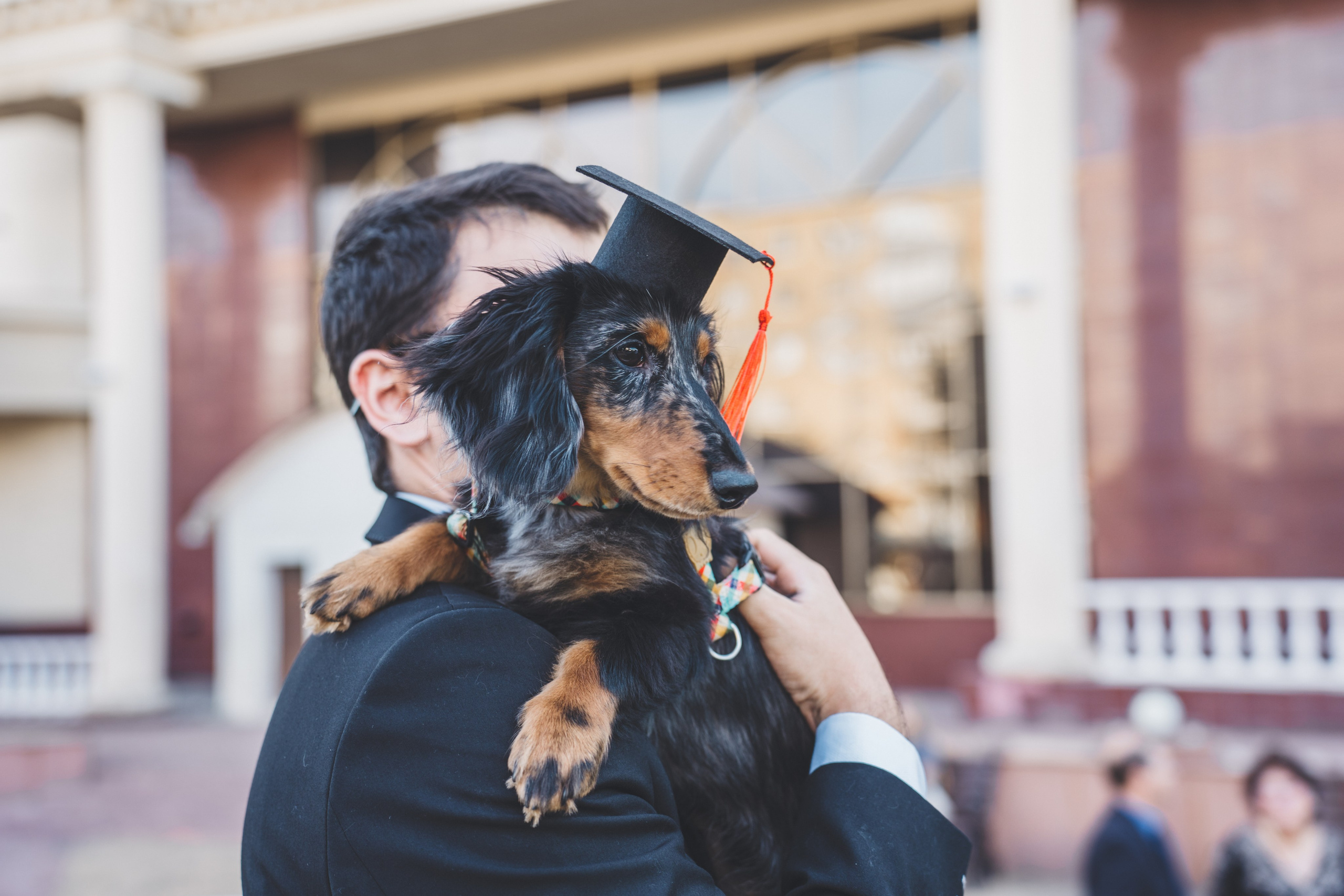 KSMU Students Graduation. Свадебный и семейный видеограф в Курске