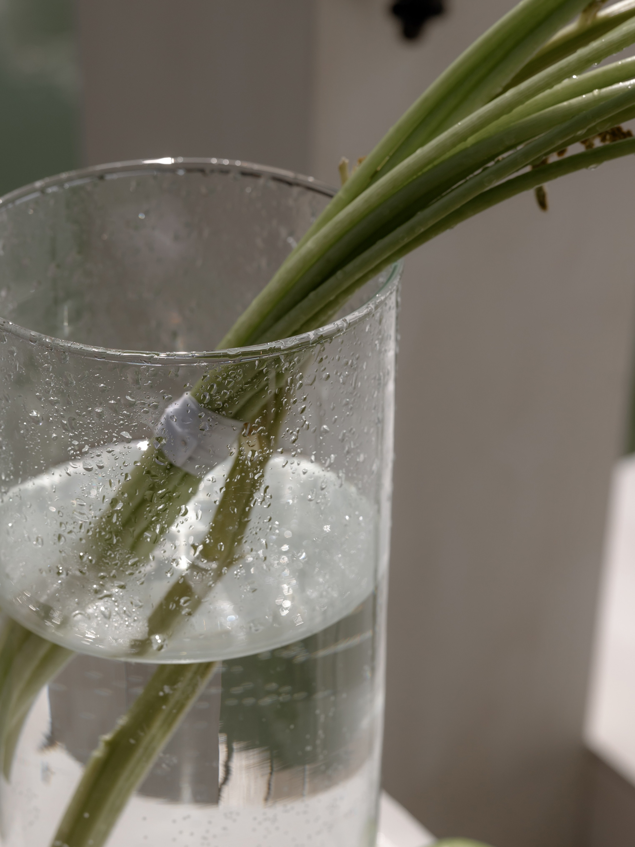 Алина & Андрей. Оформление свадеб, декор свадеб Вера Маркова, Москва