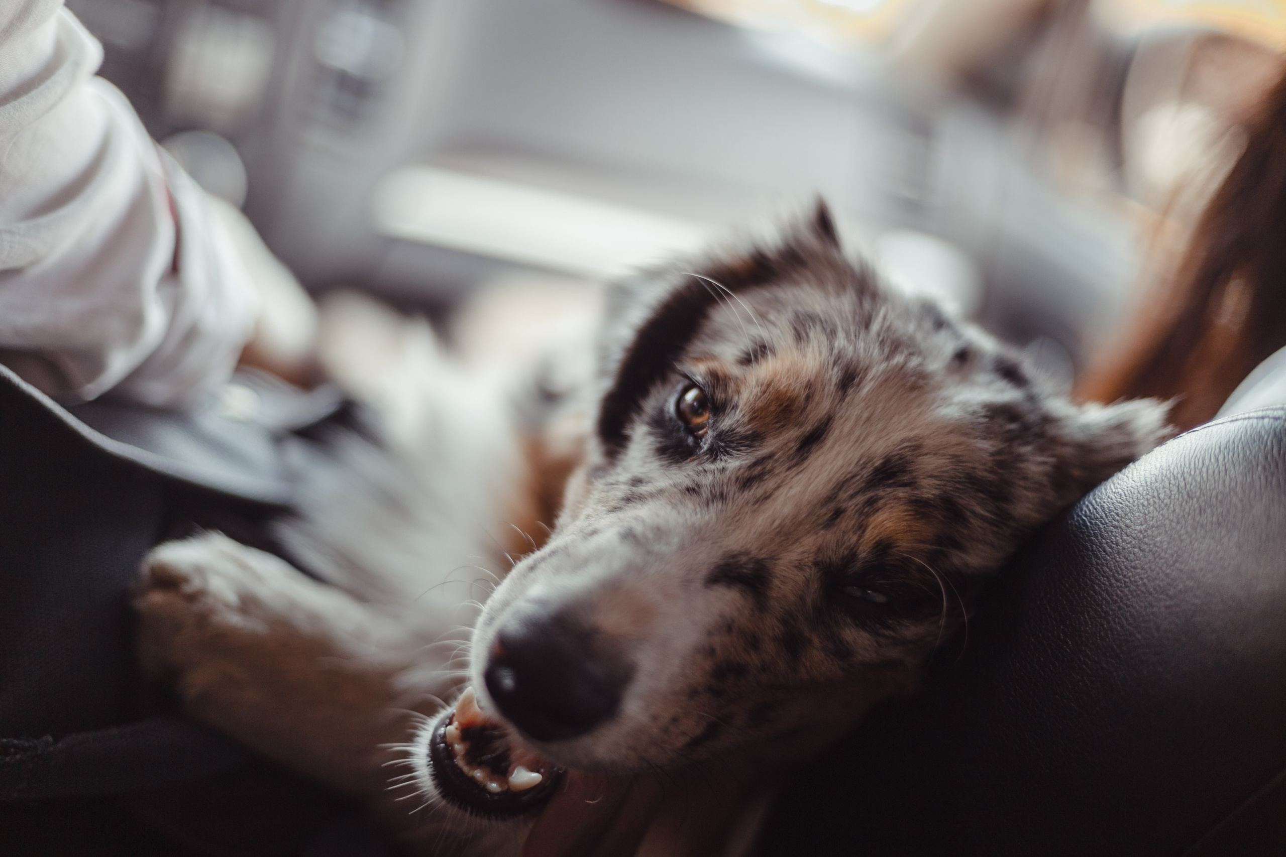 Mike. PHOTOGRAPHER romanoff-egor