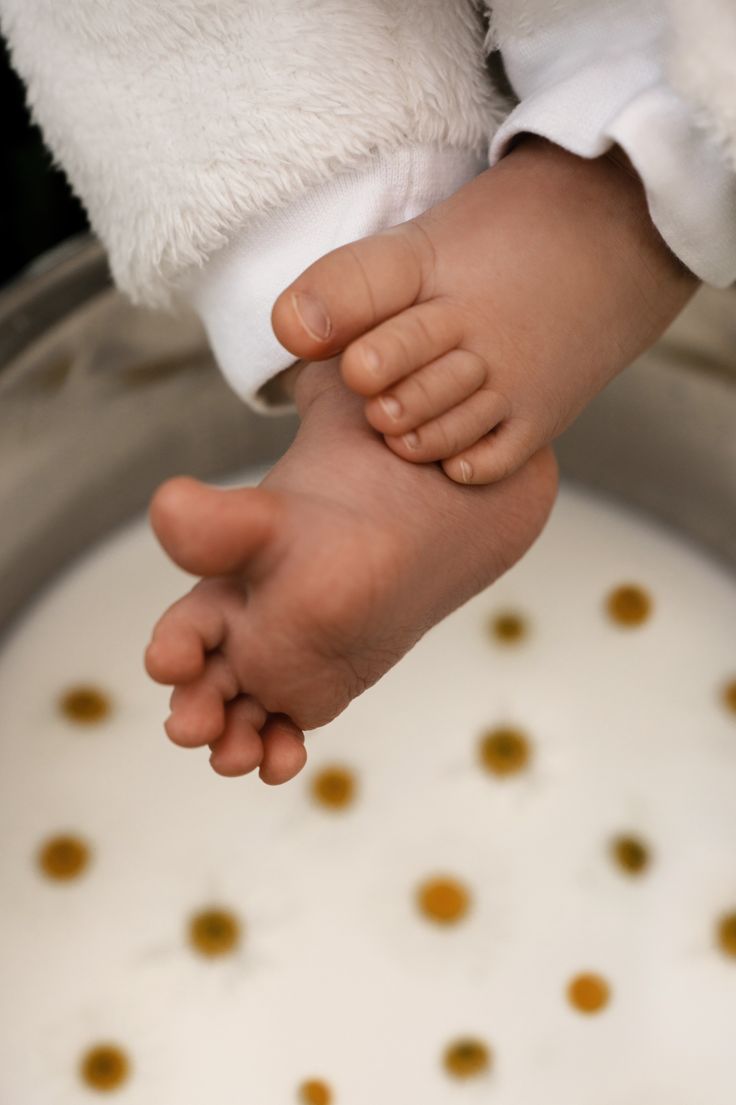 Первые полгодика рядом с мамой. Ваш семейный фотограф в Минске — Вика Трегубова