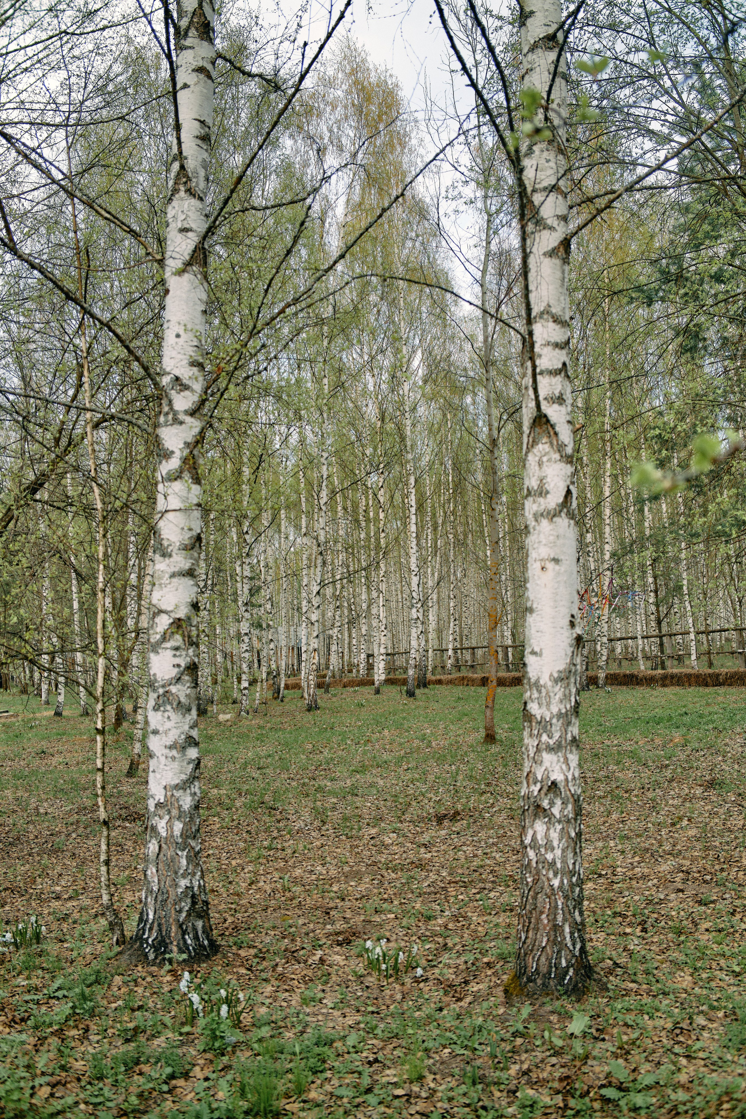 Бутик-отель Поле летом. Профессиональный Фотограф во Владимире, в Москве и в Суздале — Полина Романычева