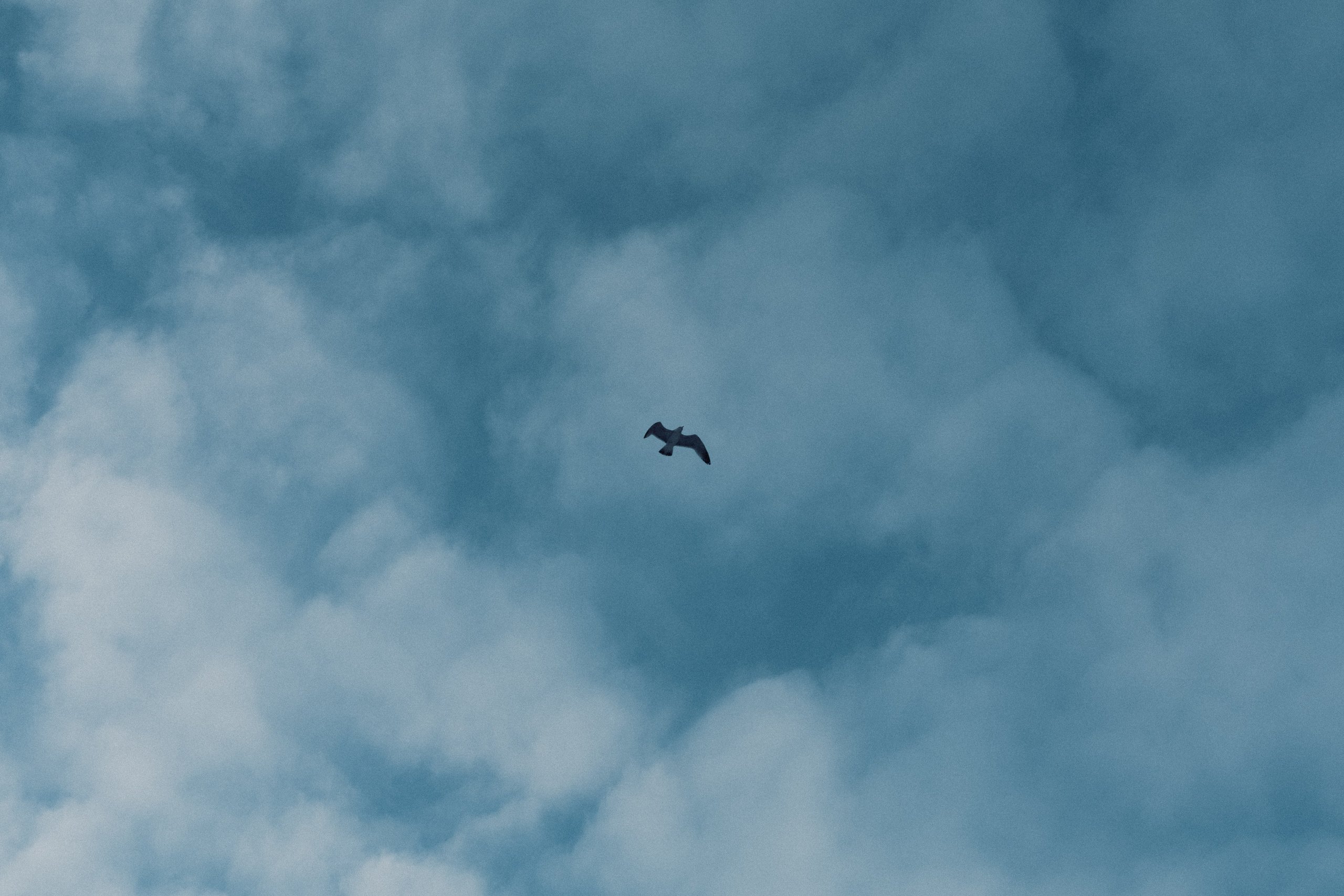 № 26. WAYHAY — Портретный фотограф