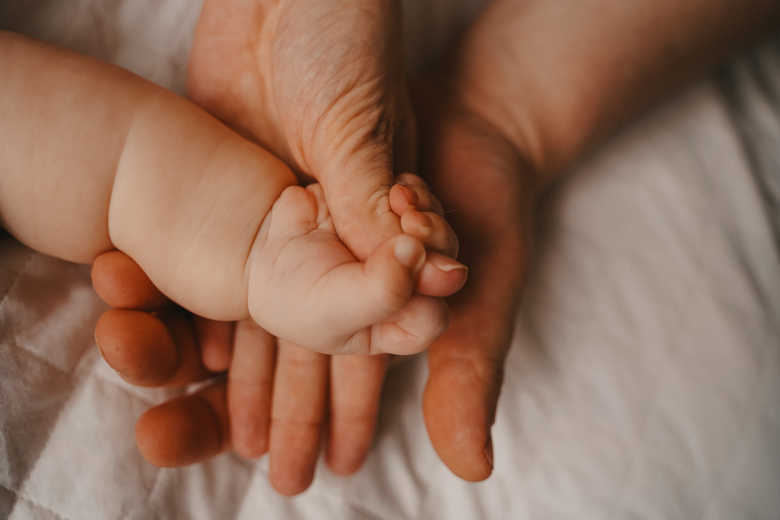 Наш малыш. Семейный и женский фотограф в Краснодаре Анастасия Приймак