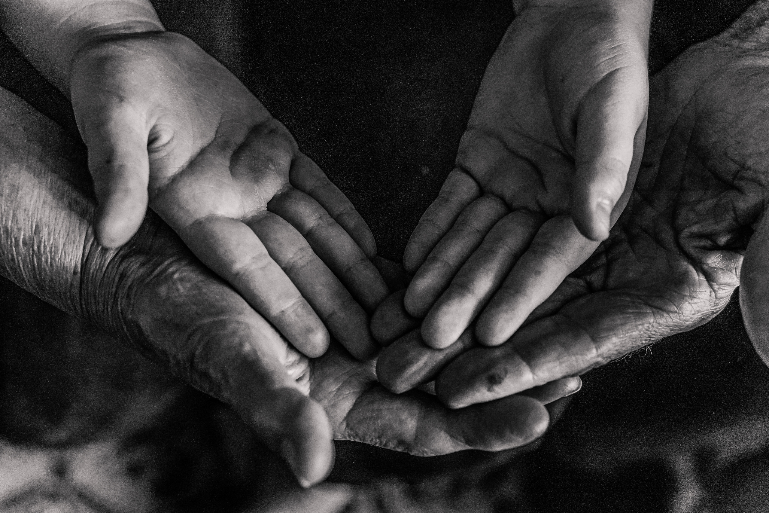 История поколений. Семейный и женский фотограф в Краснодаре Анастасия Приймак