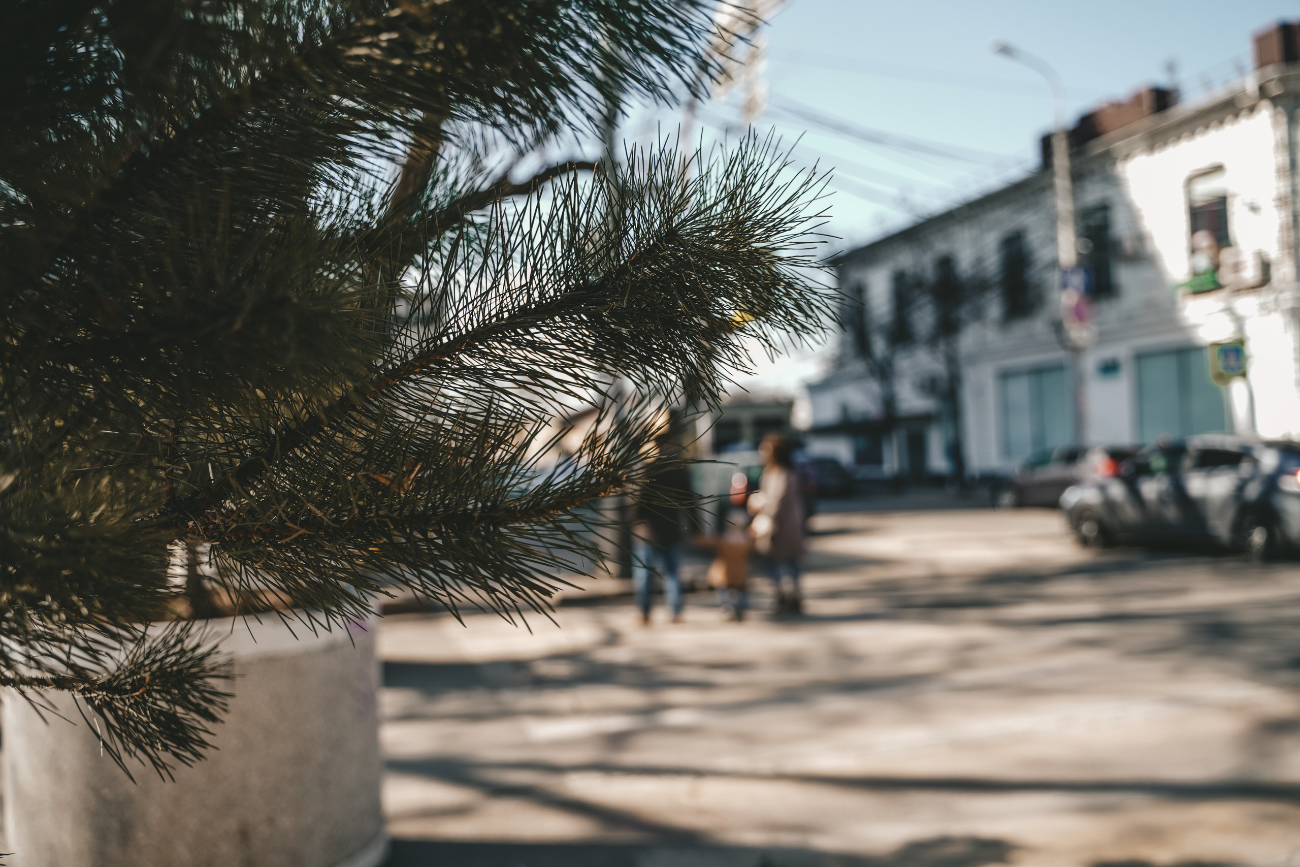 Семейная история. Семейный и женский фотограф в Краснодаре Анастасия Приймак