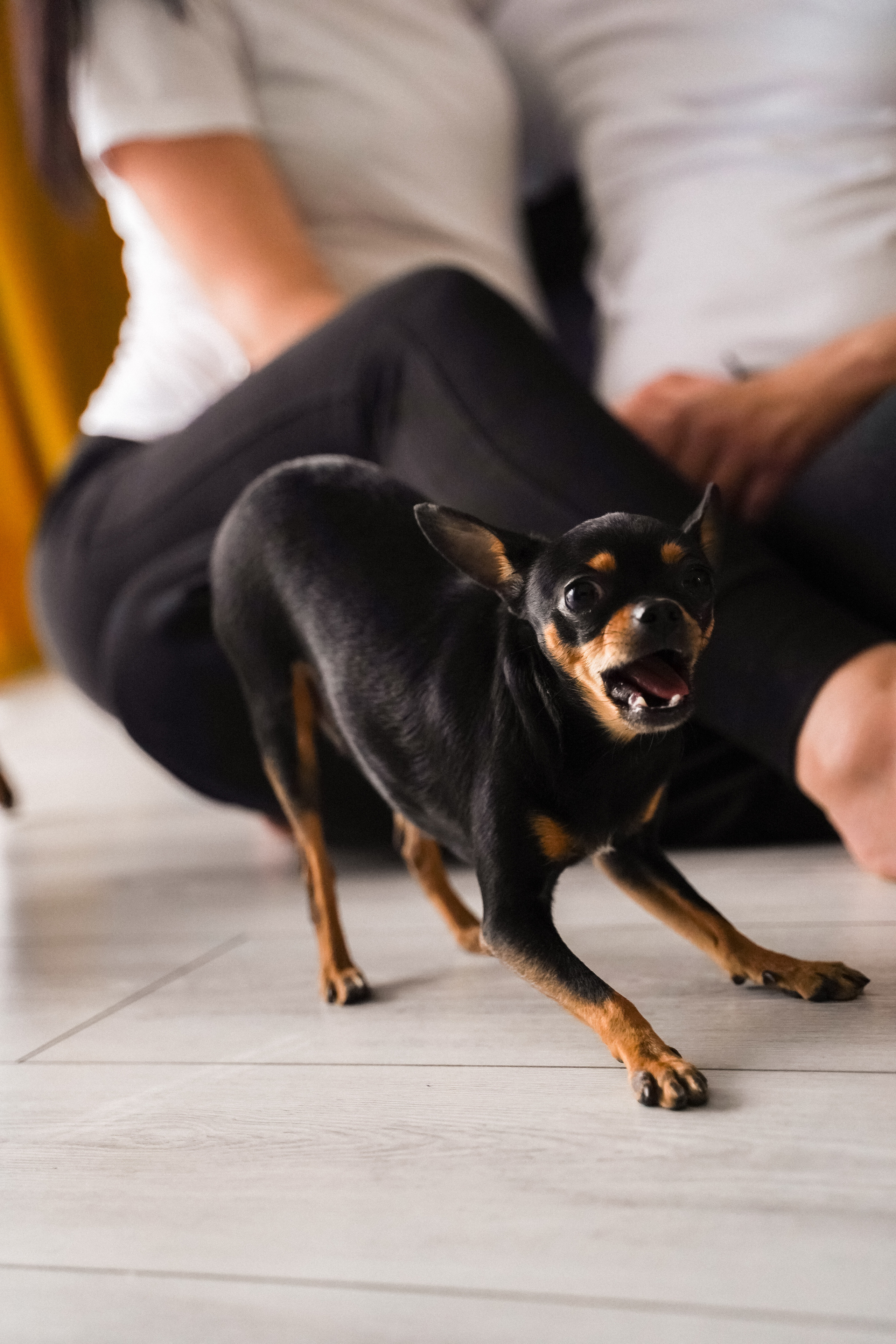 Диана и Стас. Семейный и женский фотограф в Краснодаре Анастасия Приймак