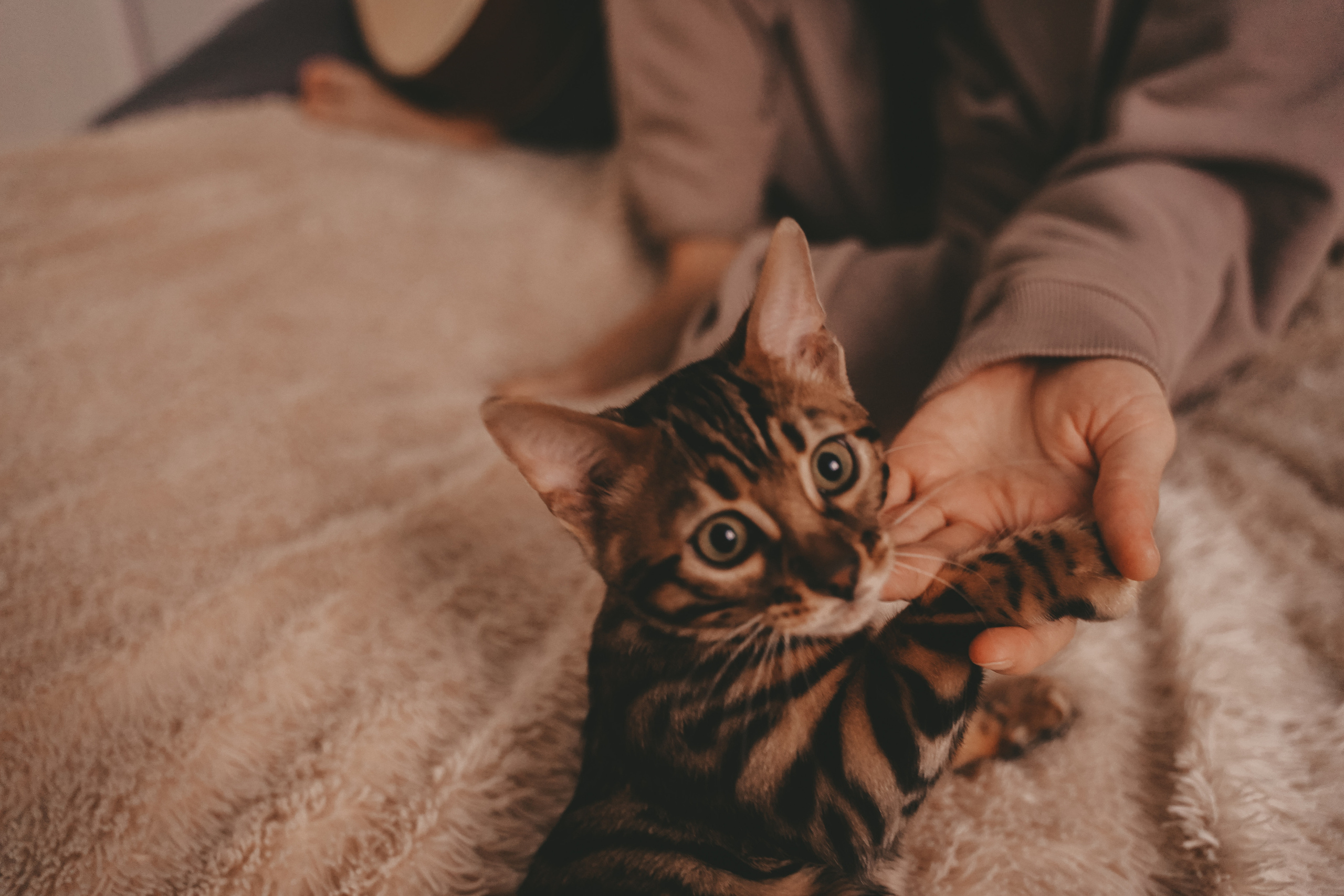 Домашние съемки. Семейный и женский фотограф в Краснодаре Анастасия Приймак