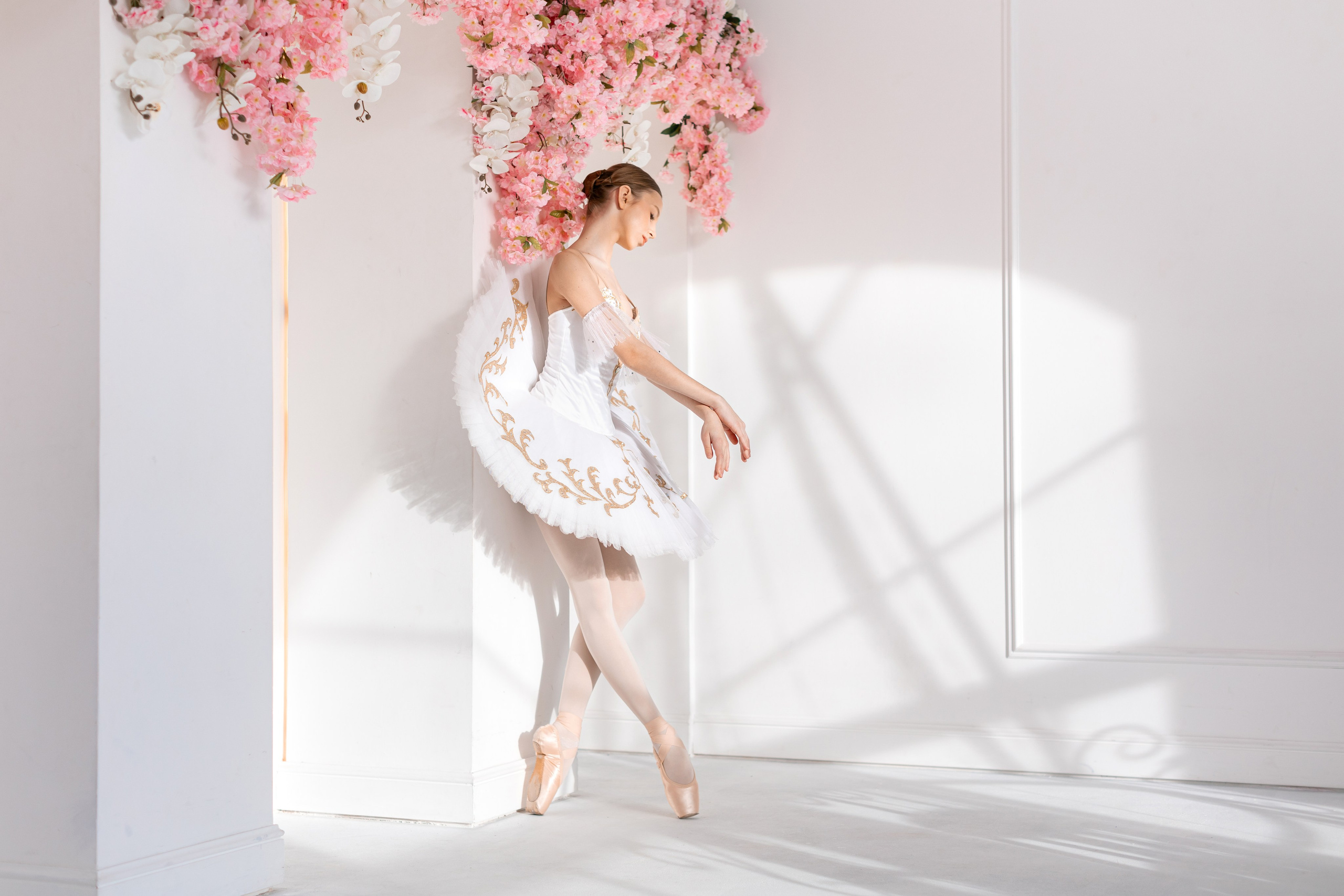 Балетная съёмка в интерьере. Балетный фотограф Алина Ханько — Душа Балета