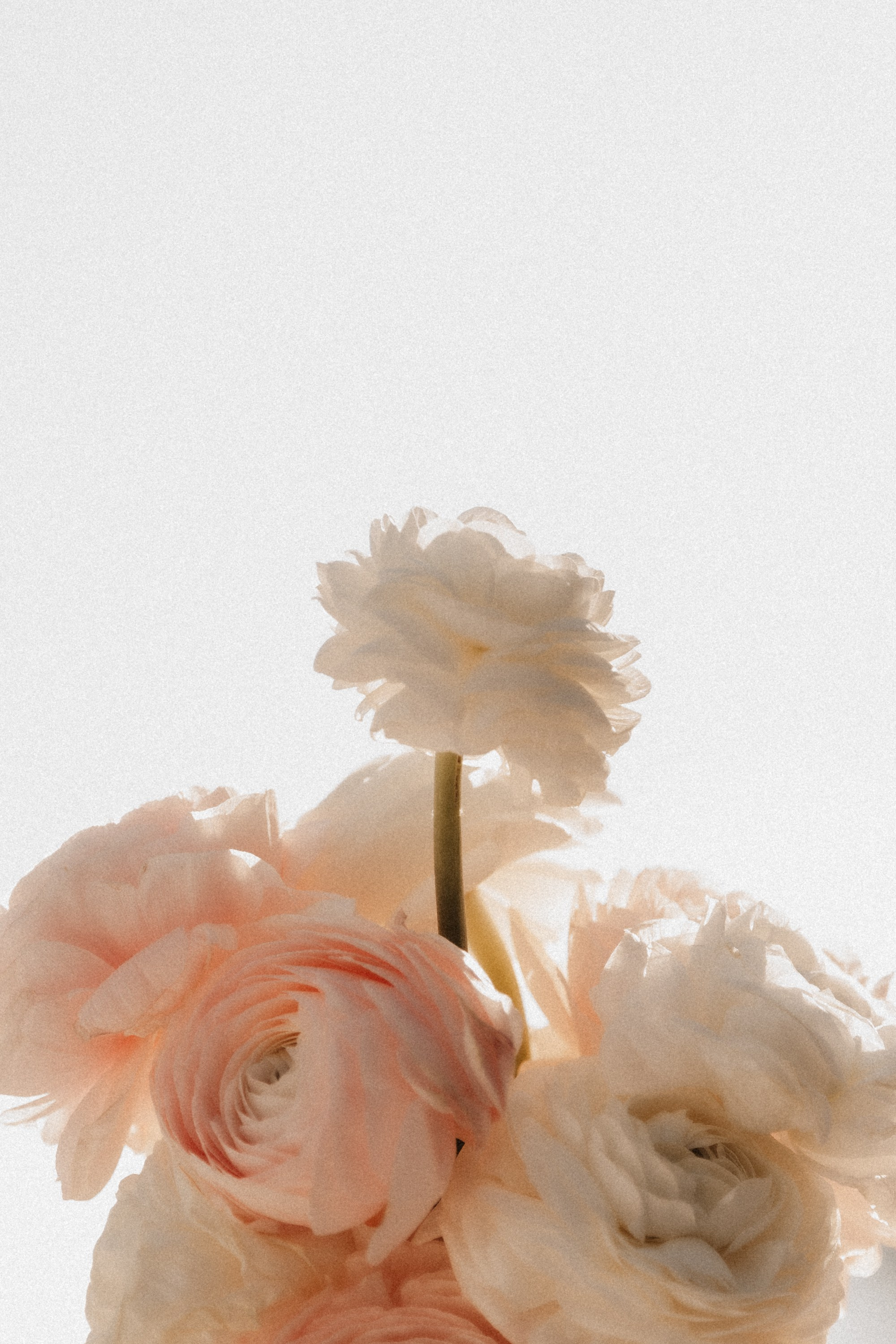 Иван и Валерия. Репортажный фотограф Черников Игорь