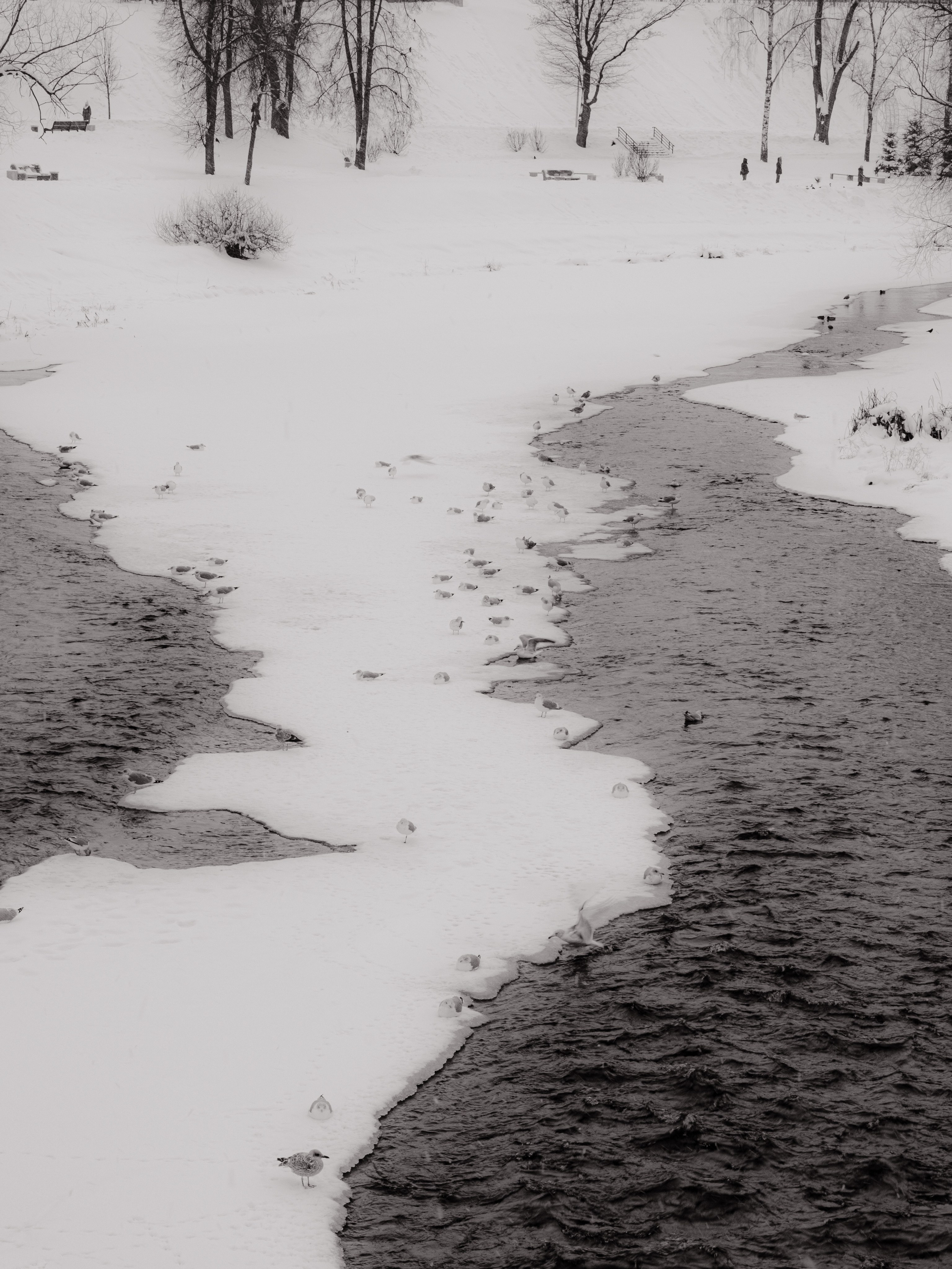 Стрит-фотография, пейзаж. Фотограф в Пскове и Санкт-Петербурге Татьяна Рейнелл