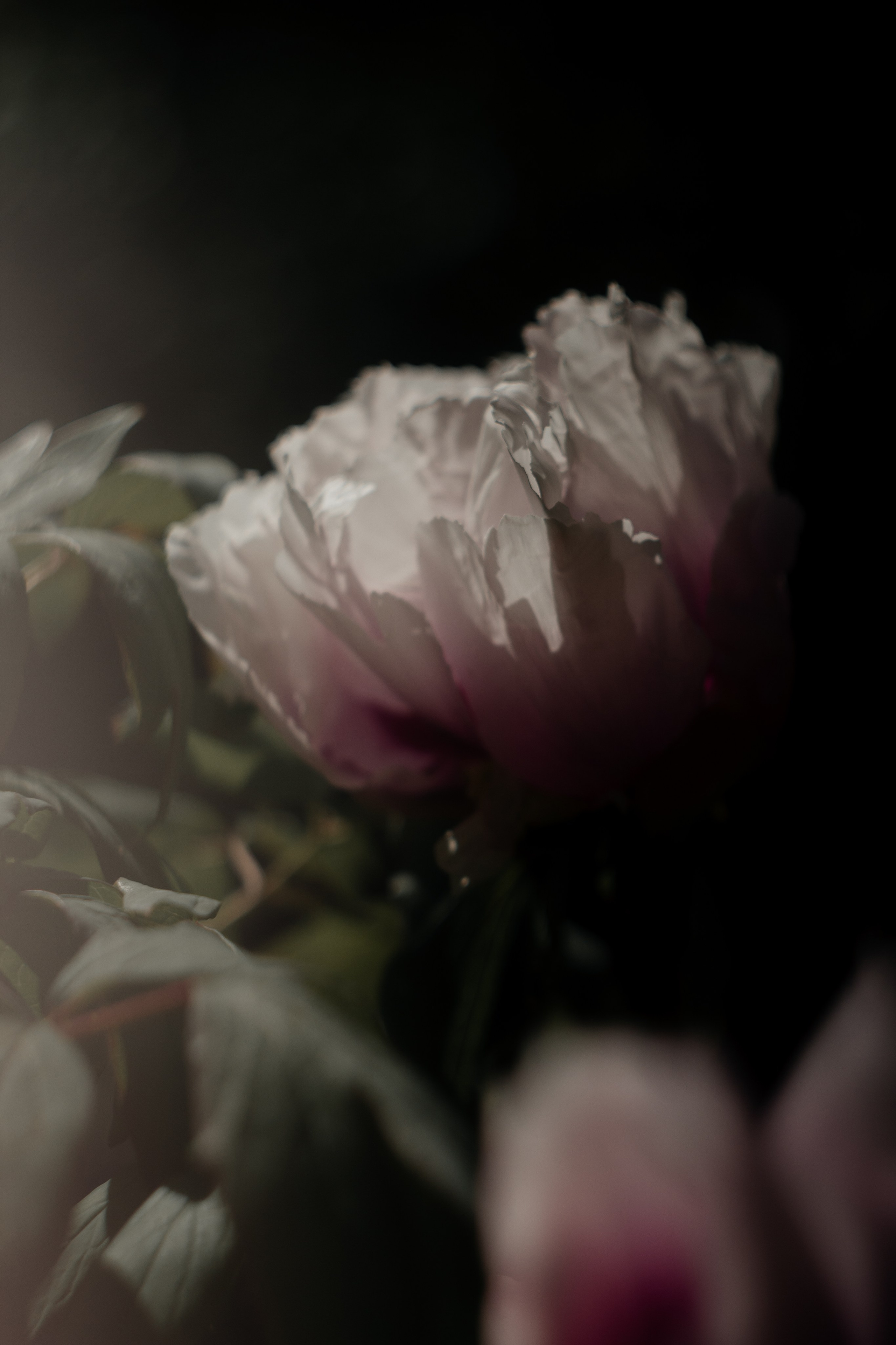 Helios. Photographer Mary Matveenko