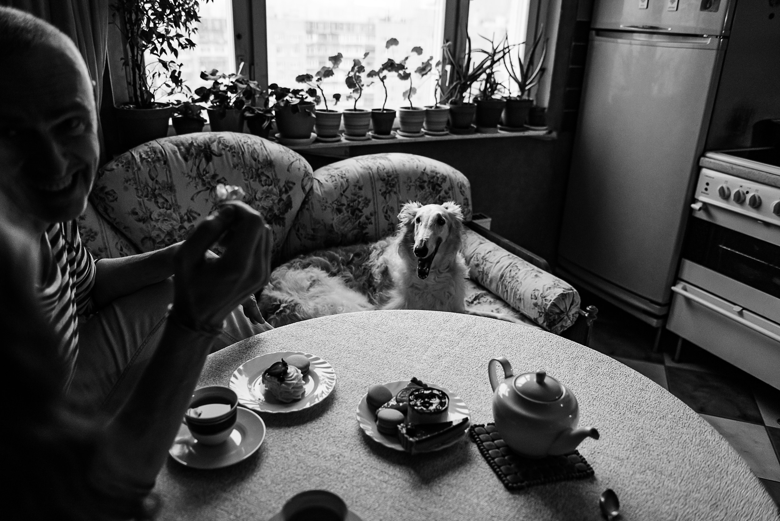 Квартира с картинами. Алиса, Андрей и их пушистая семья. Семейный Фотограф в Москве Ирина Хохлова