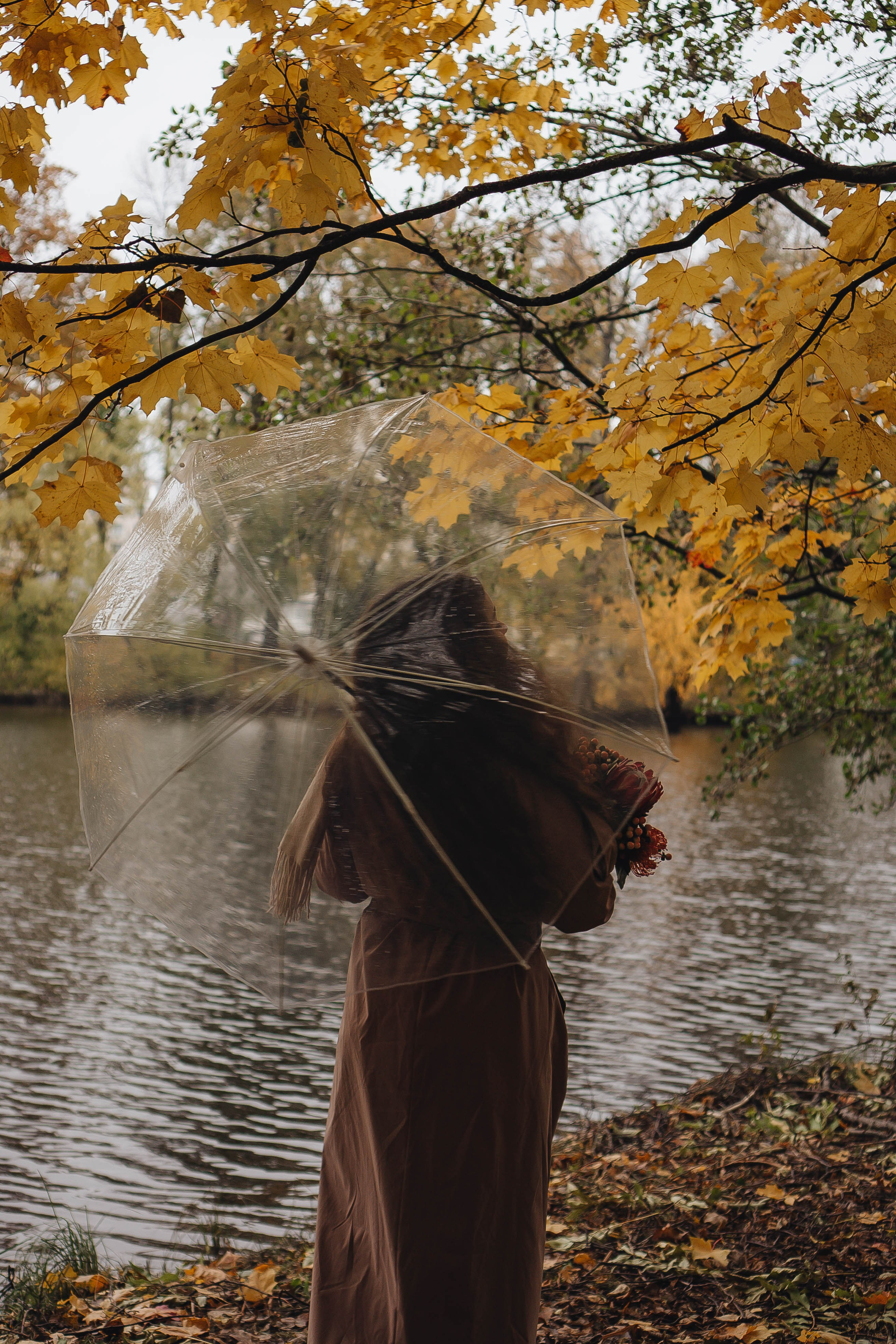Осень. Профессиональный фотограф, Санкт-Петербург — Виктория Богомолова
