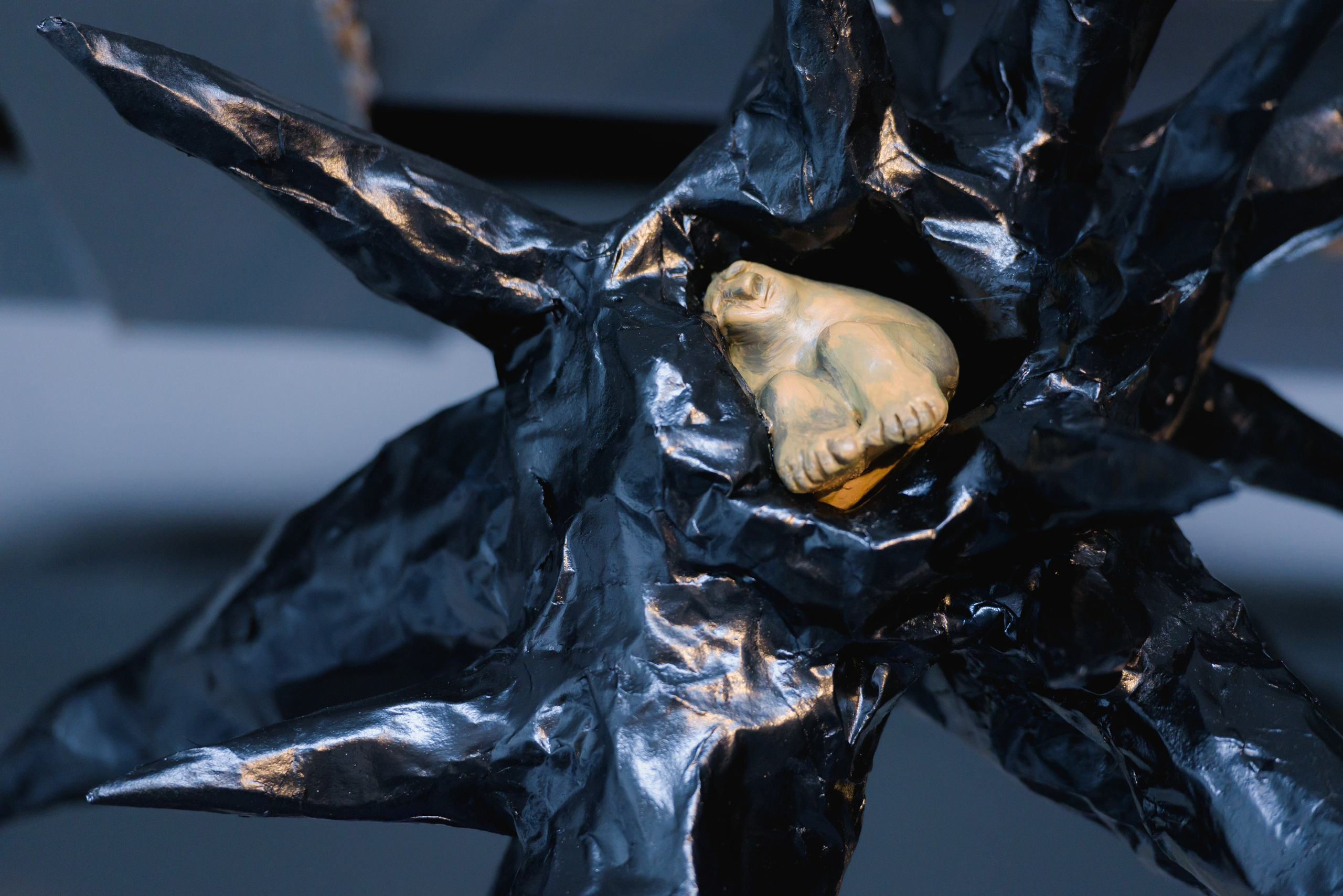 Выставки. Фотограф Руслан Хафизов