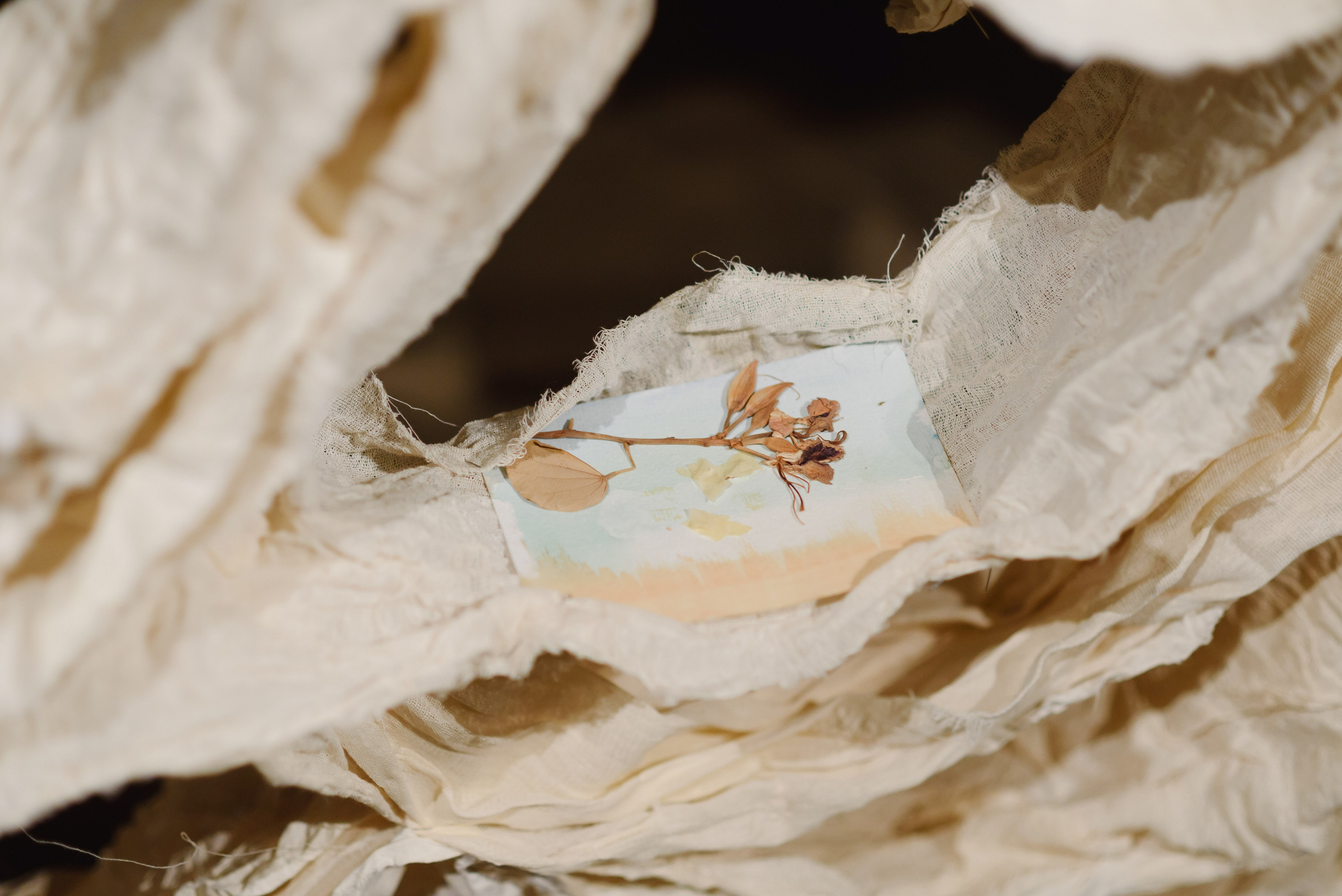 Выставки. Фотограф Руслан Хафизов