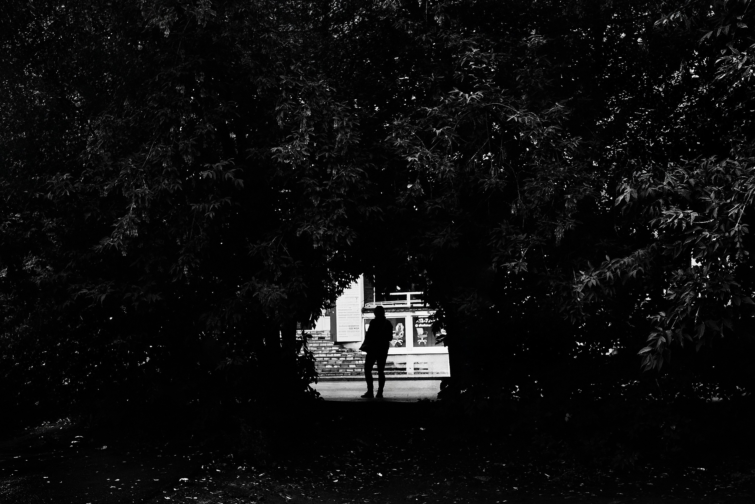 Томск 23г. Фотограф и оператор мероприятий, концертов и портретов в городе Москва