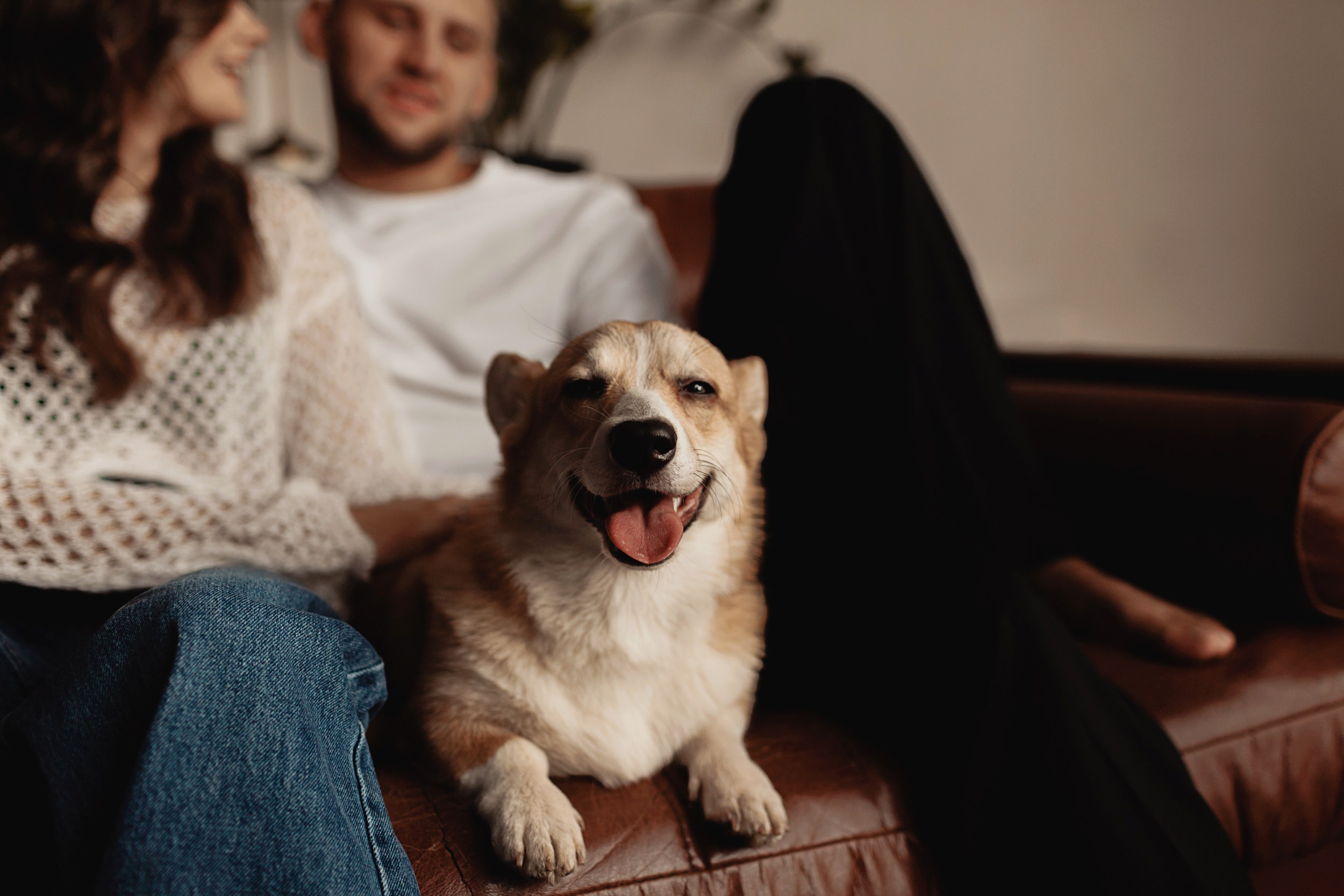 Про Любовь. Главная