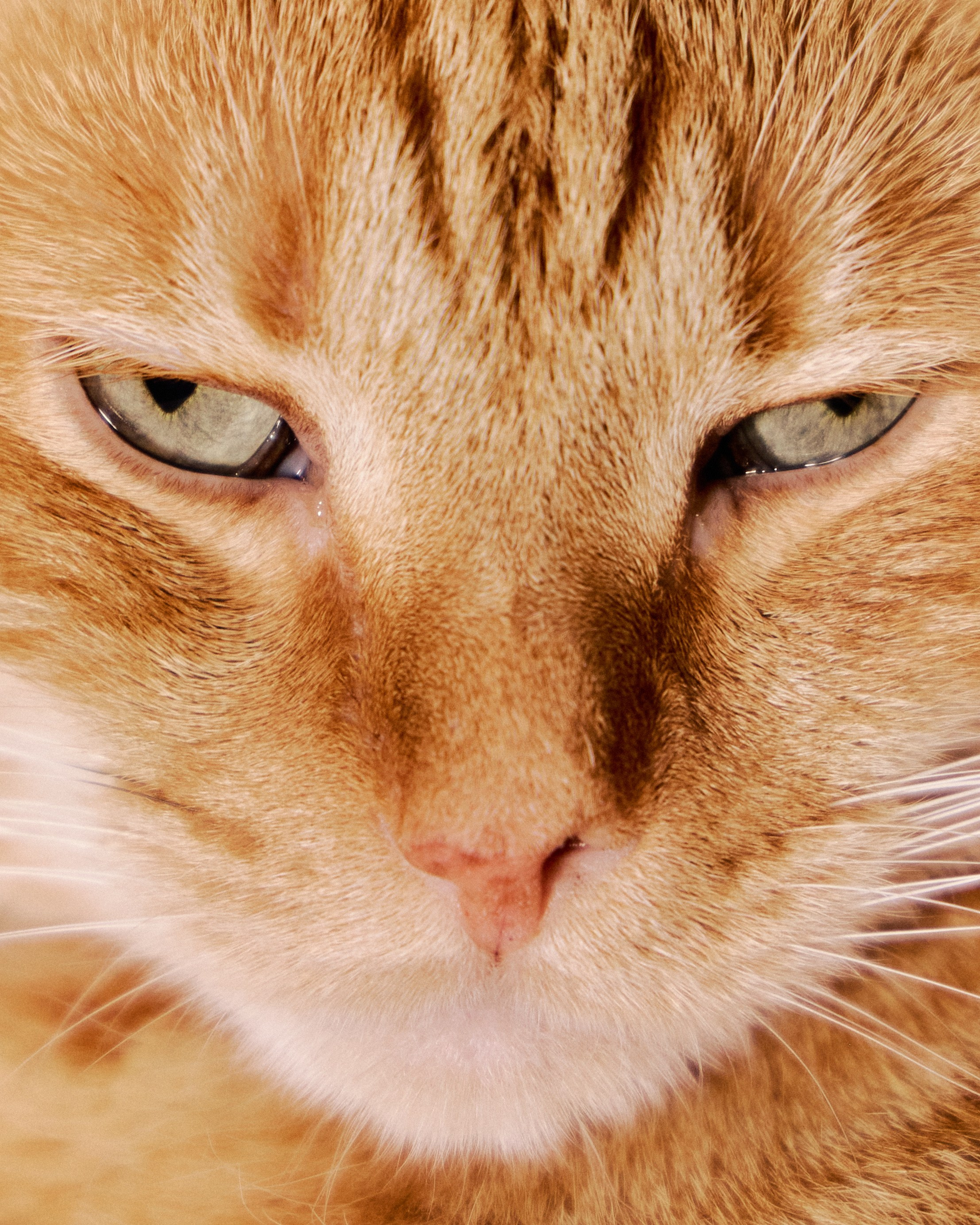 Другое 3. Jorgis — фотограф в Хургаде / обучение фотографии