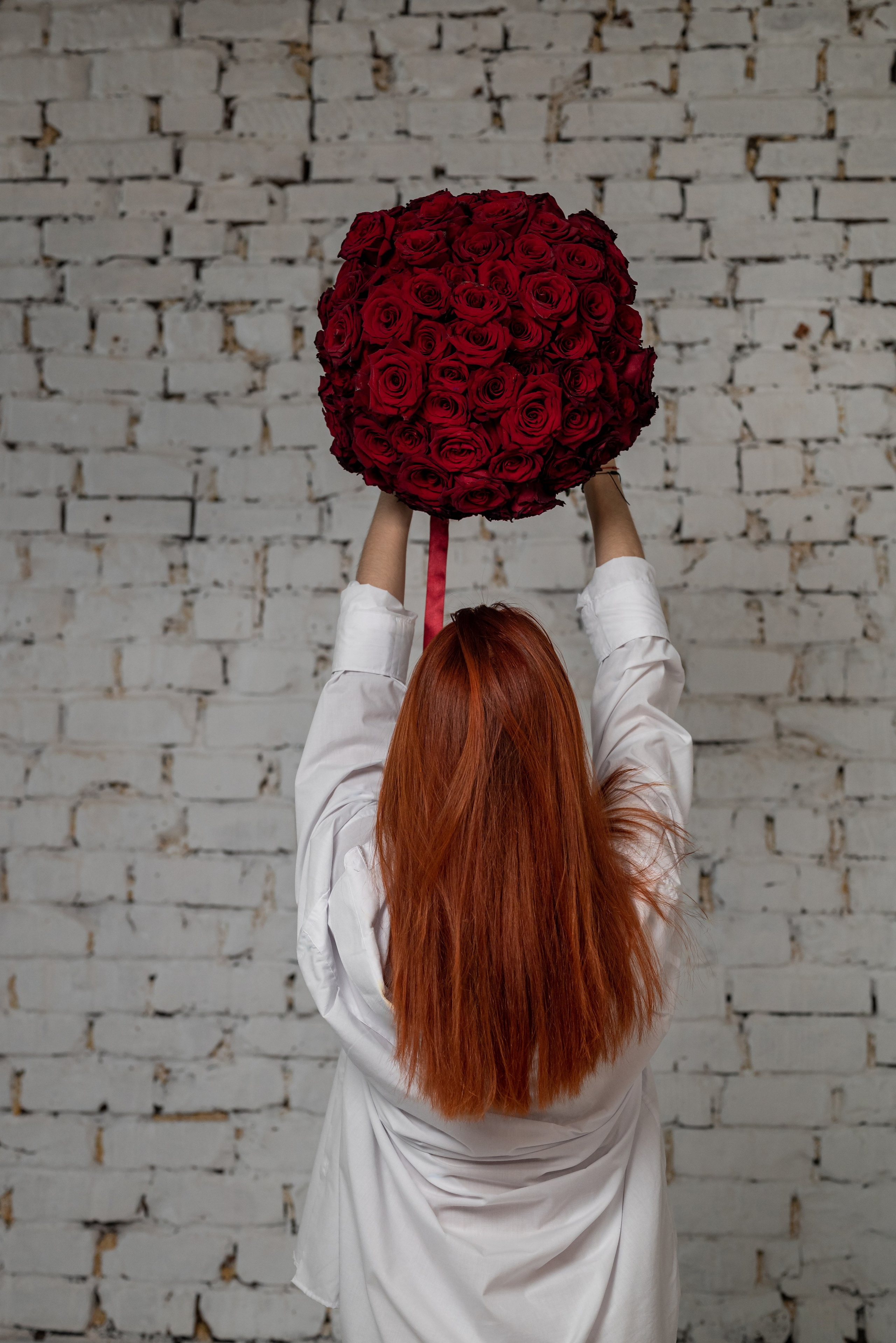 Фотопроект *101 красная роза* 2025 г. Фотограф в городе Салават