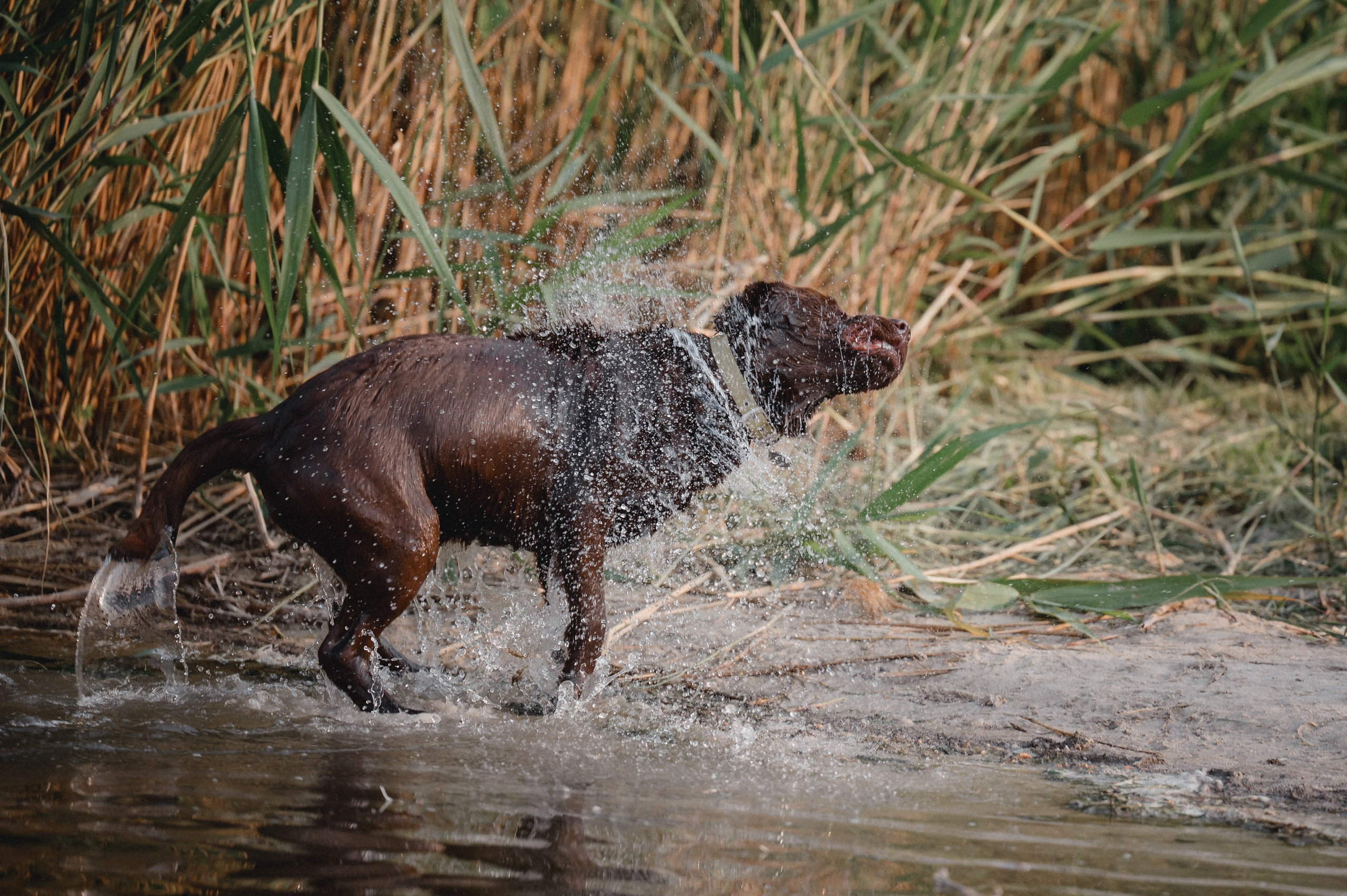 Анечка и Дэя. Фотограф в Ростове —на — Дону