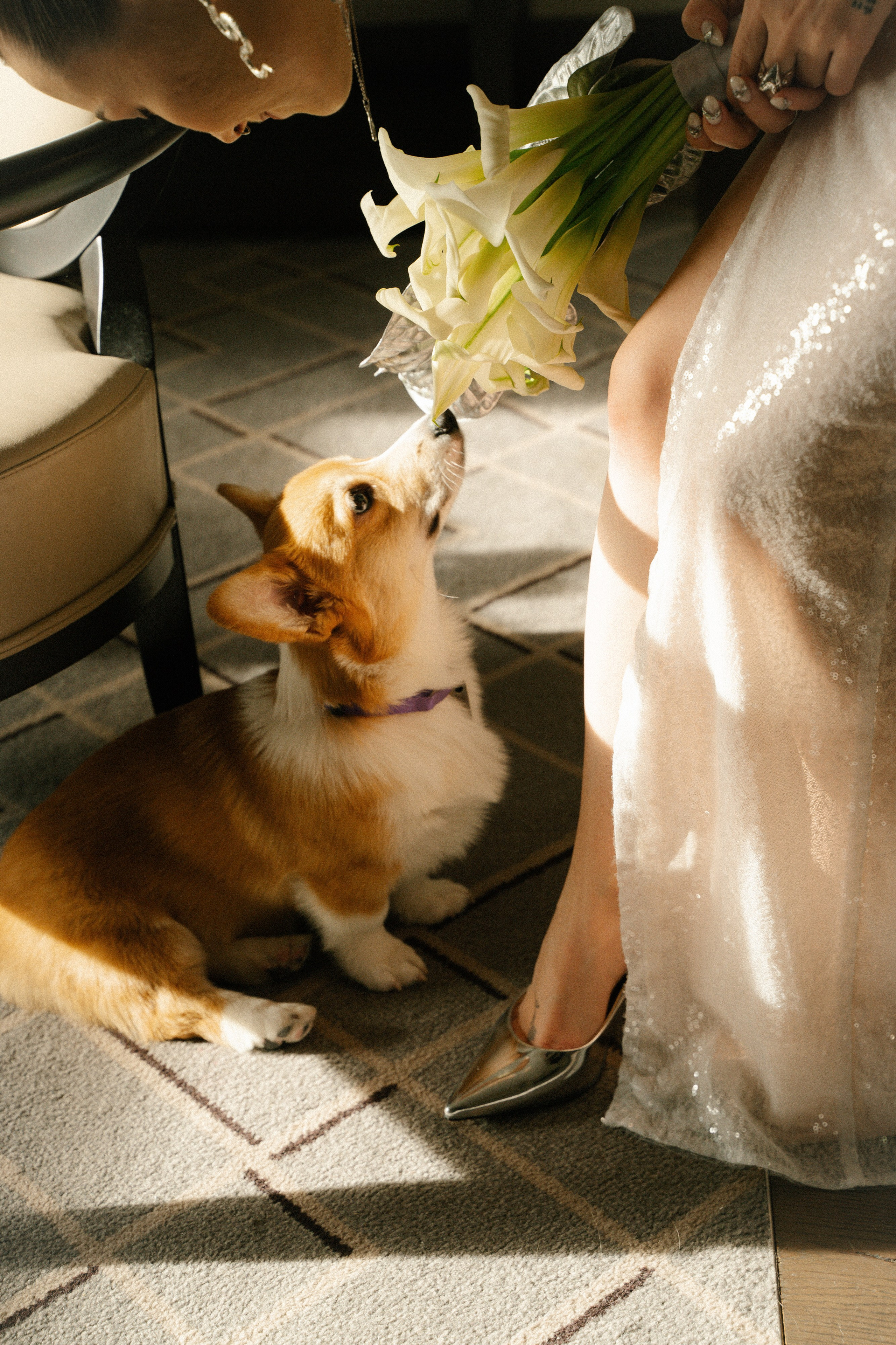 Вегас. Главная