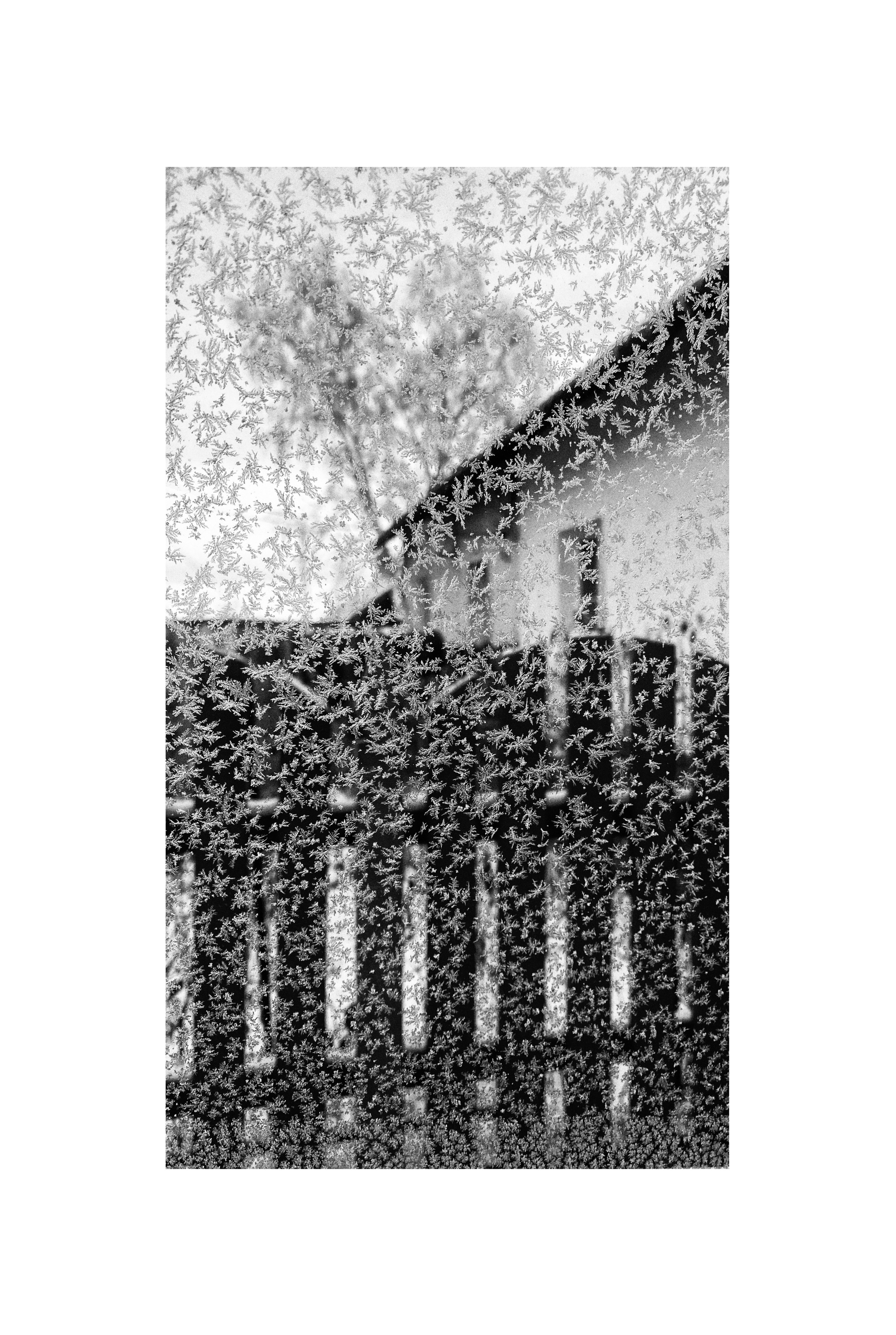 2024. Тащилин Сергей. Фотографии. Жизнь. Хобби