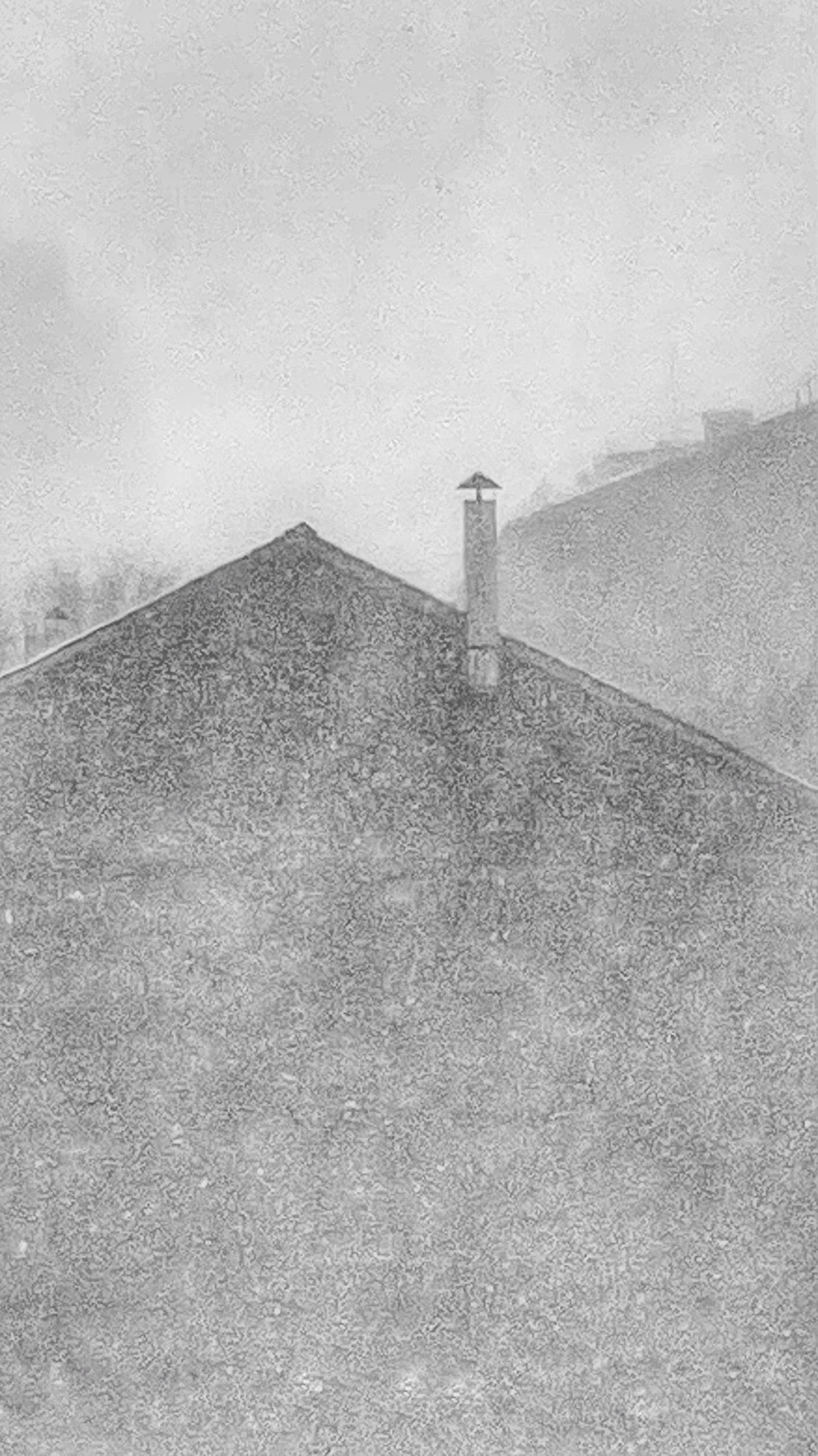 2025 год. Тащилин Сергей. Фотографии. Жизнь. Хобби