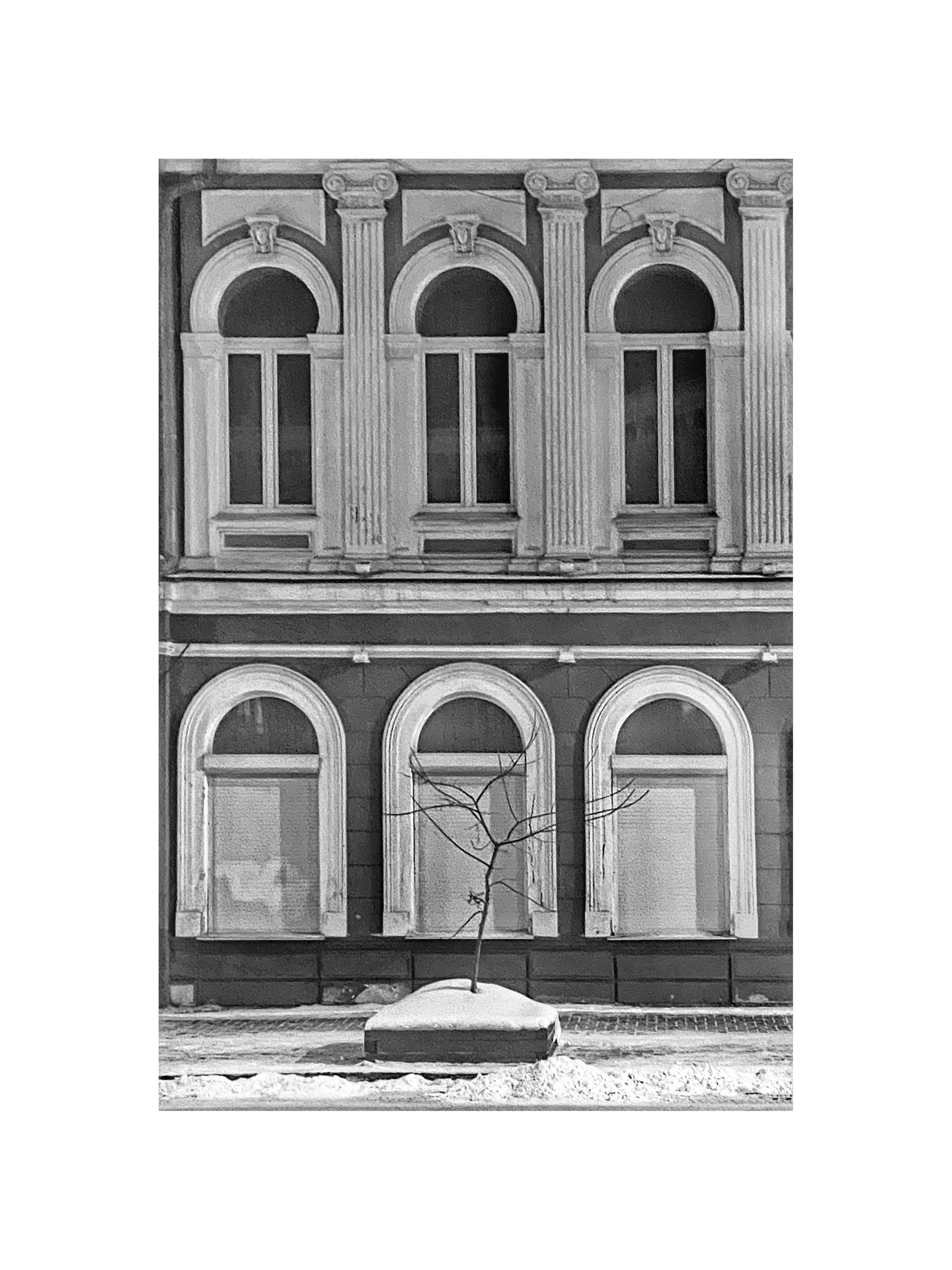 2024. Тащилин Сергей. Фотографии. Жизнь. Хобби