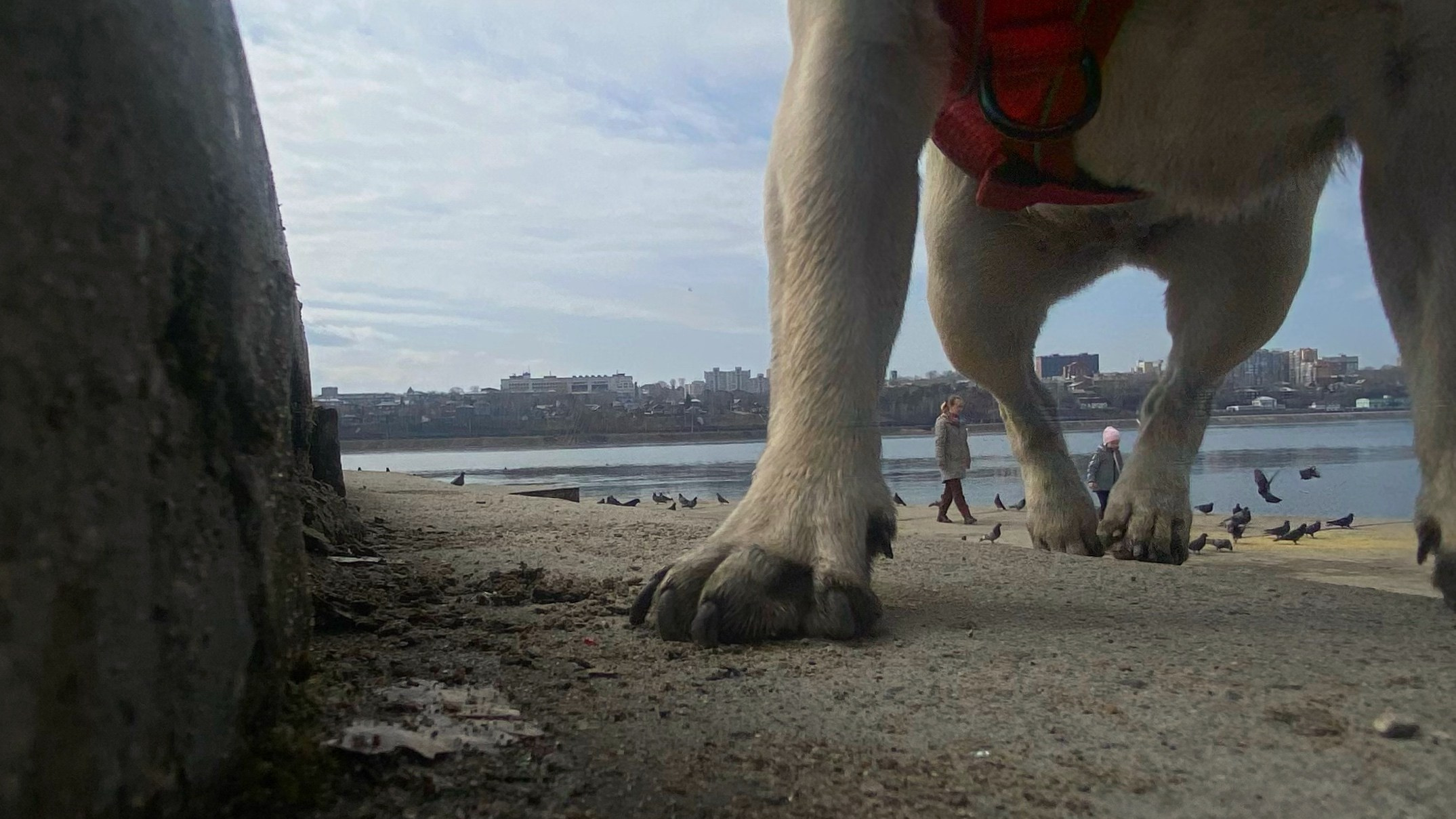 2024. Тащилин Сергей. Фотографии. Жизнь. Хобби