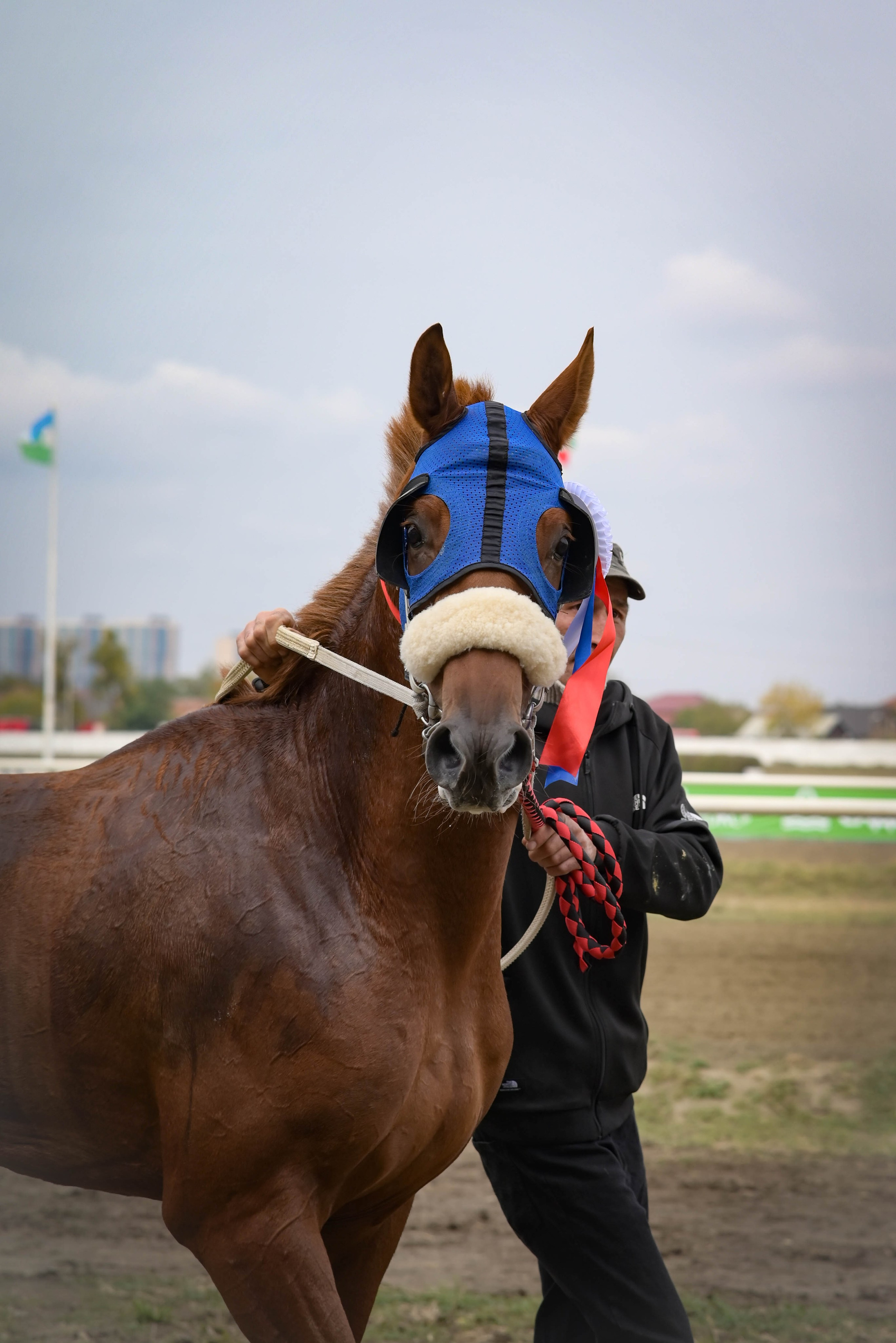 Закрытие скакового сезона 2024 г. Краснодар. Фотограф Краснодар Наталья Сувит