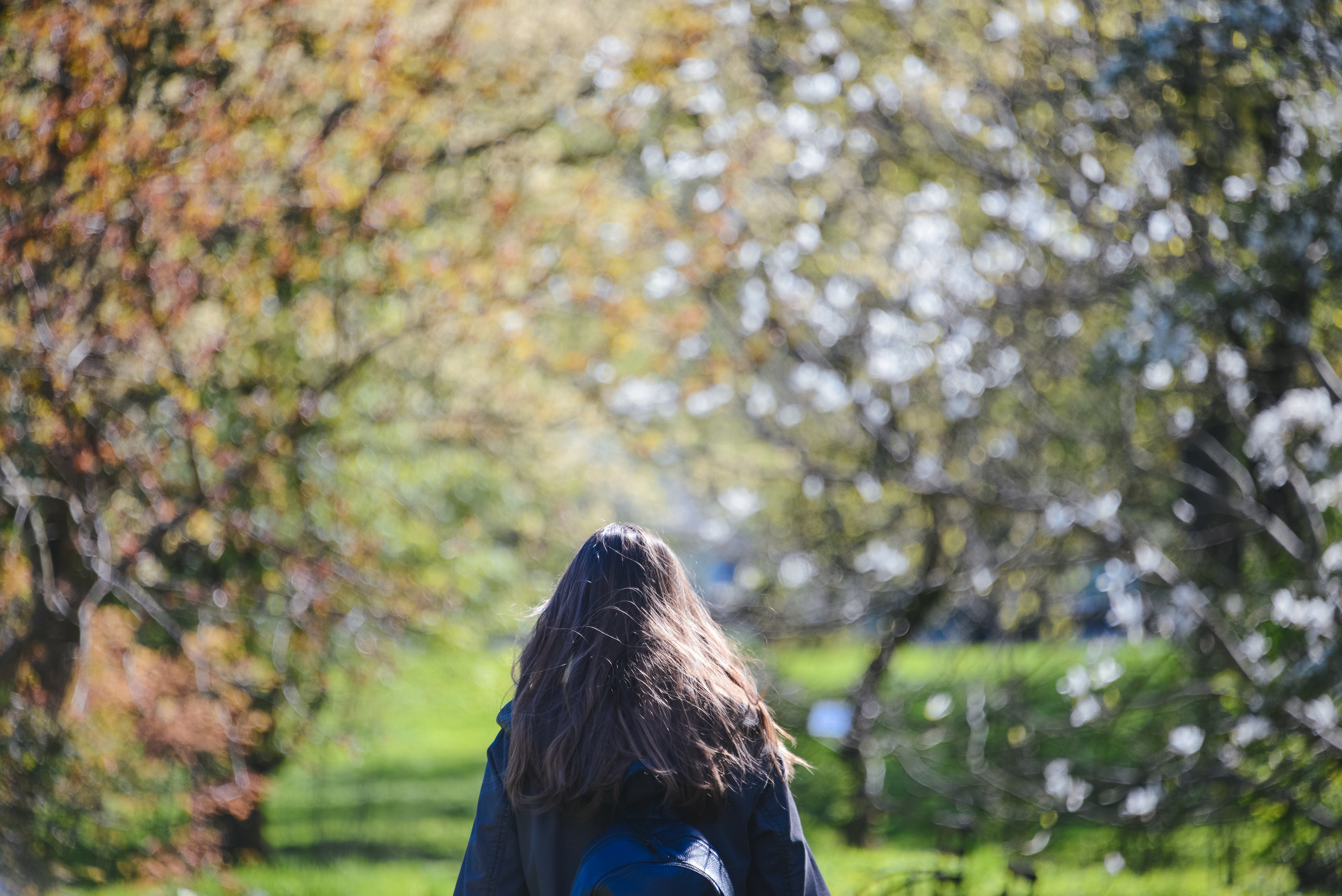 Путешествие, прогулка на природе, девушка с рюкзаком, вид сзади.