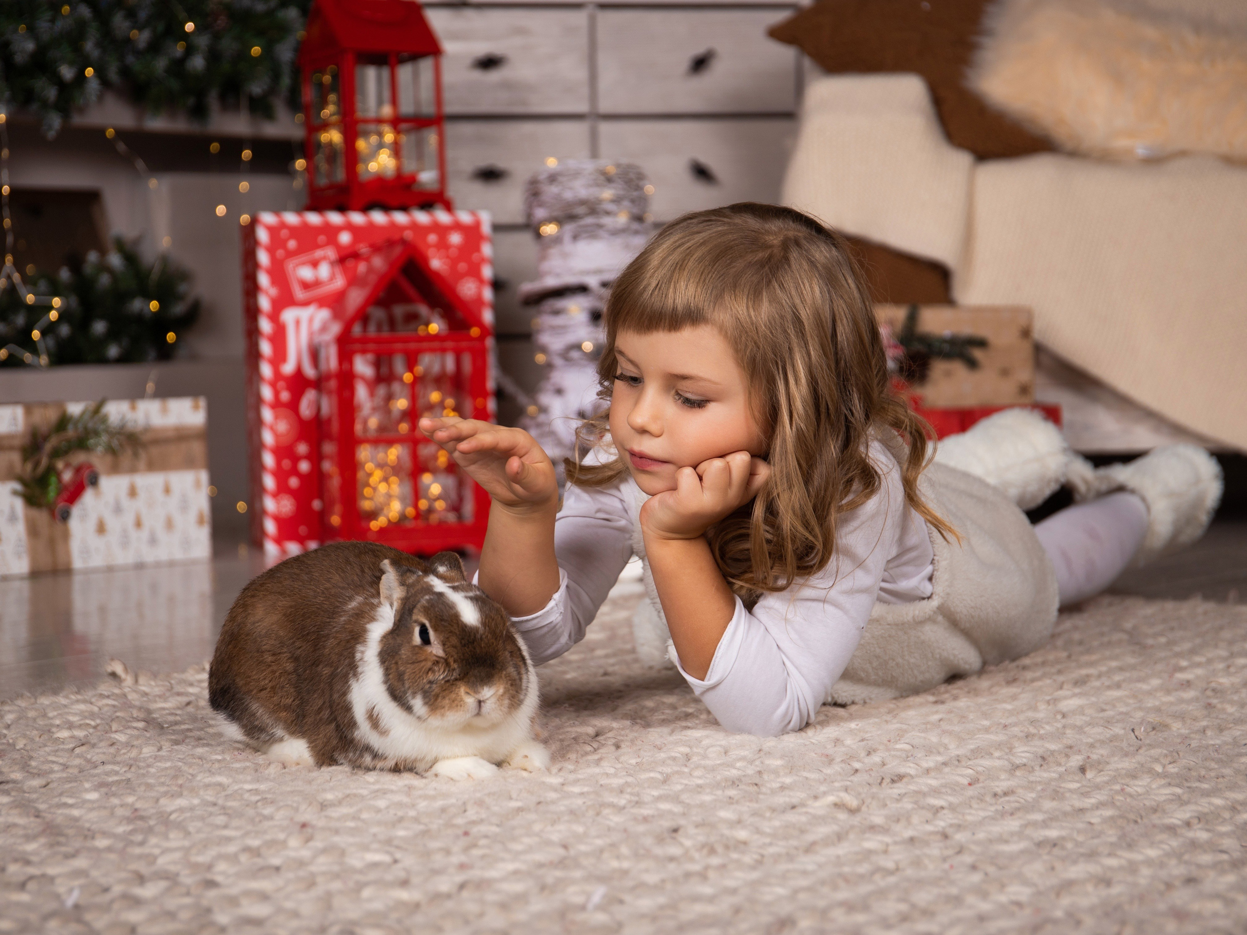 Новогодняя семейная съемка в студии. Свадебный и семейный фотограф в Москве Мила Широких