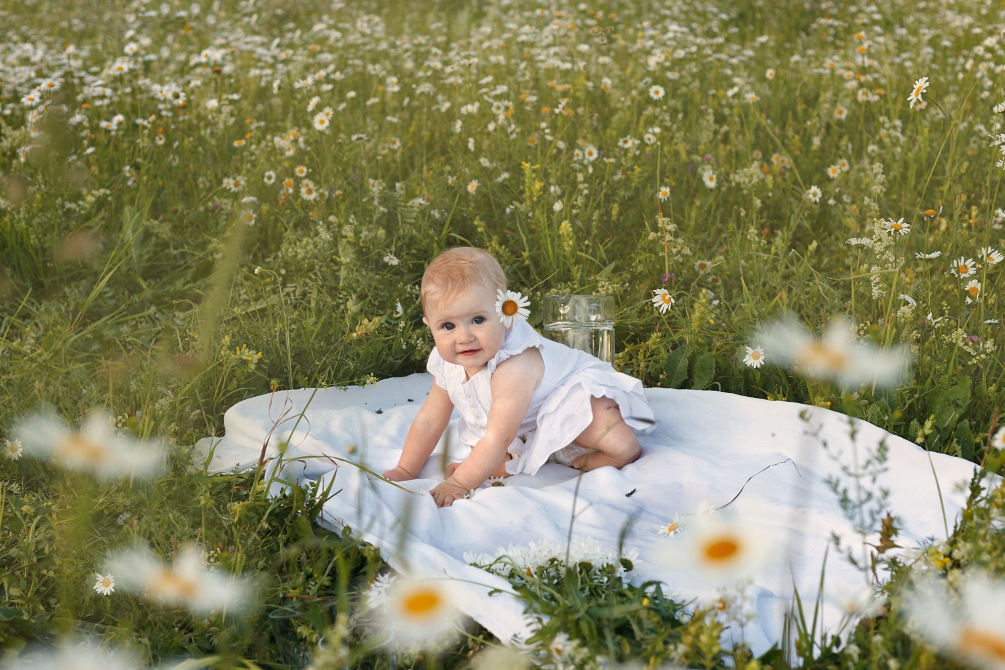 Ромашки. Детский и семейный фотограф в Бердске и Новосибирске Дарья Гребнева