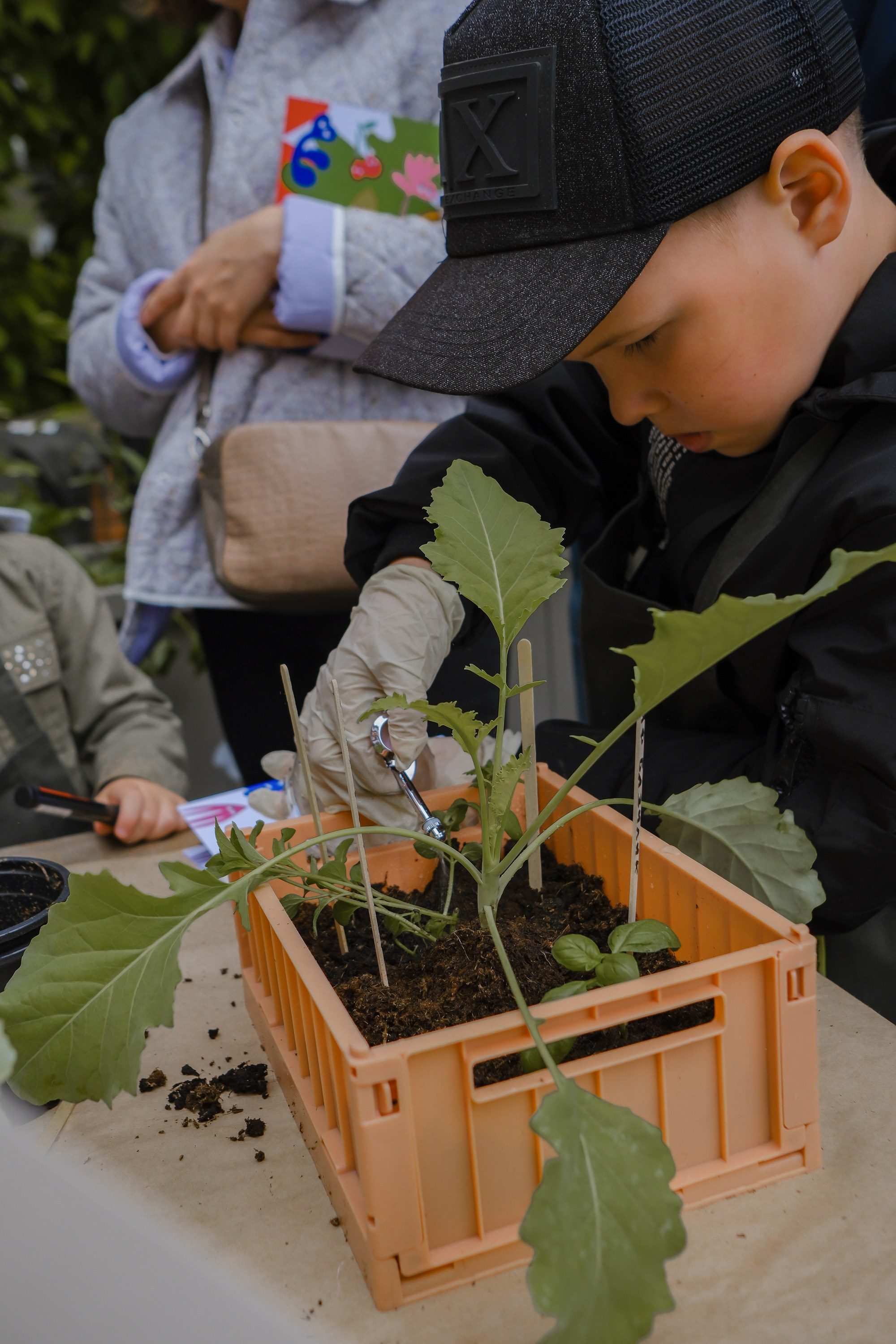 VeterFest 2023. Фотограф в Москве (готова приехать к вам в город)