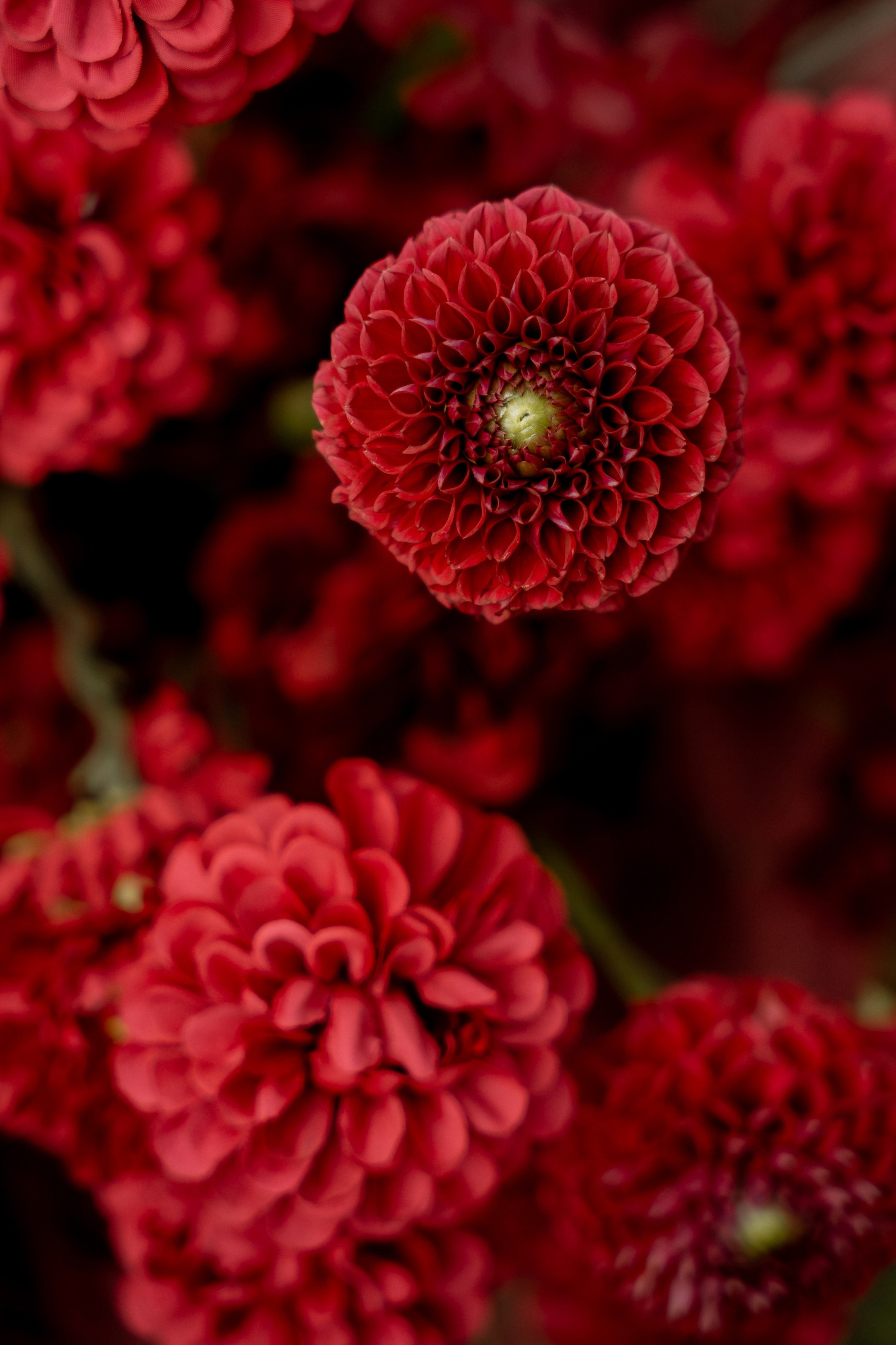 Сокровище. Гермес. Полный день (сокращено). Семейный и портретный фотограф в Саратове Сахарова Маша