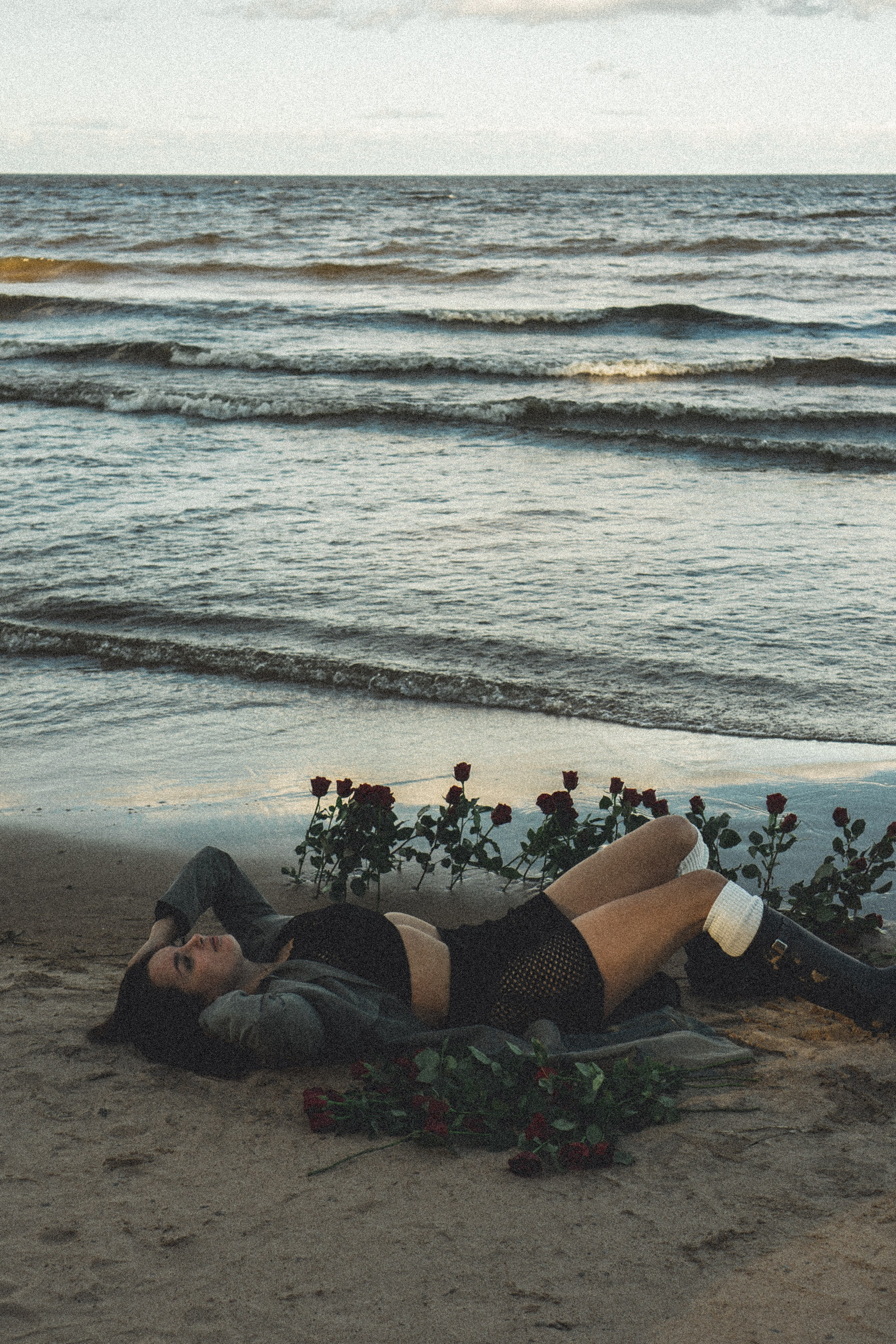 Розы. Профессиональный фотограф, Санкт-Петербург — Виктория Богомолова