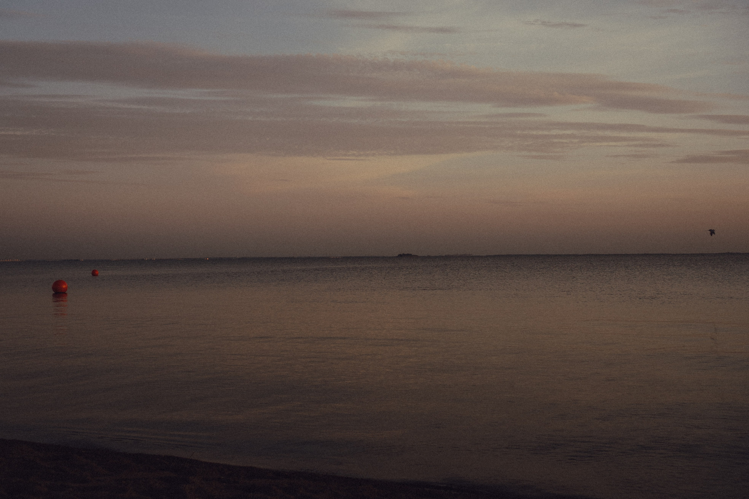 В ОЖИДАНИИ. Профессиональный фотограф, Санкт-Петербург — Виктория Богомолова