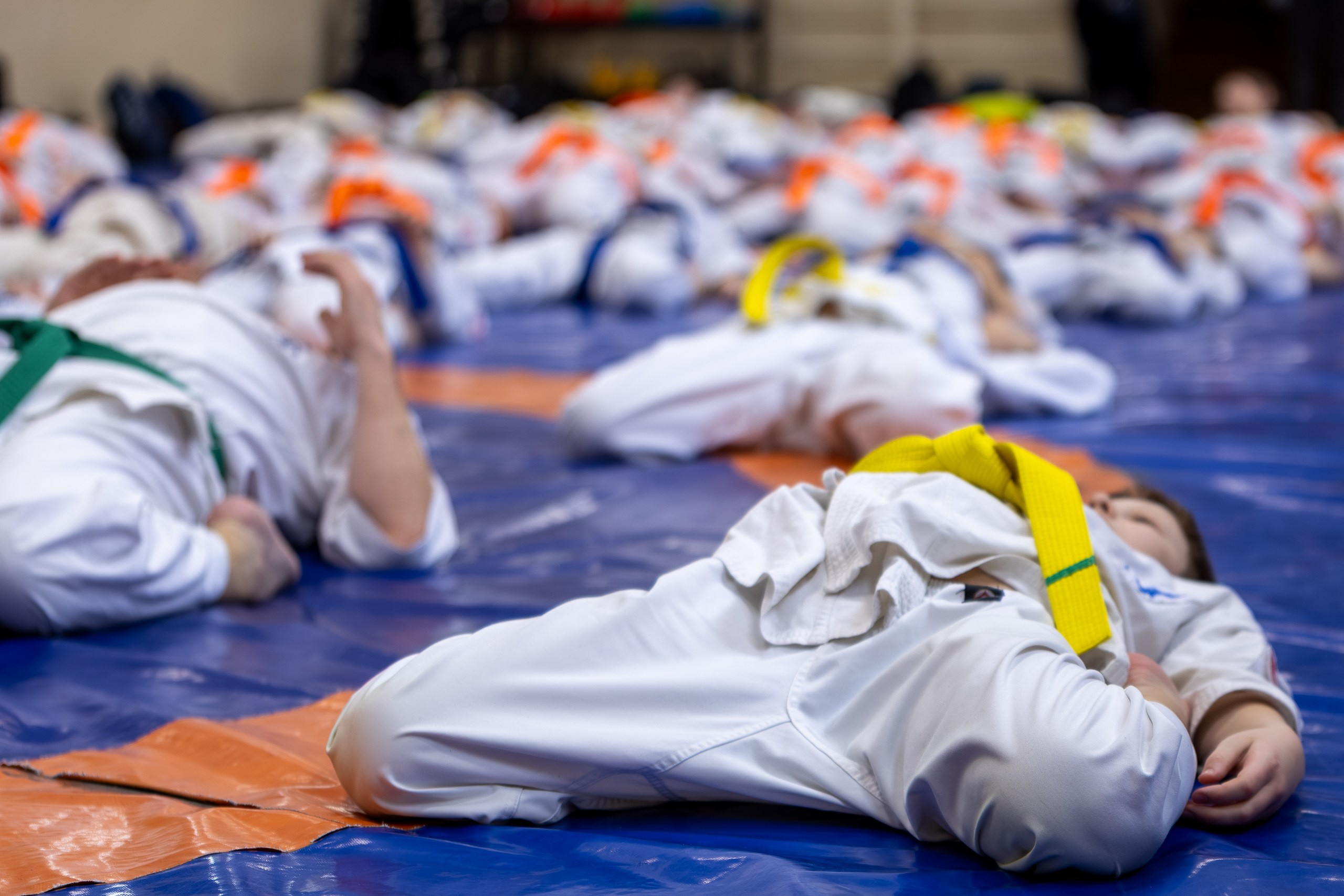 Открытый урок по карате февраль 2026. Главная