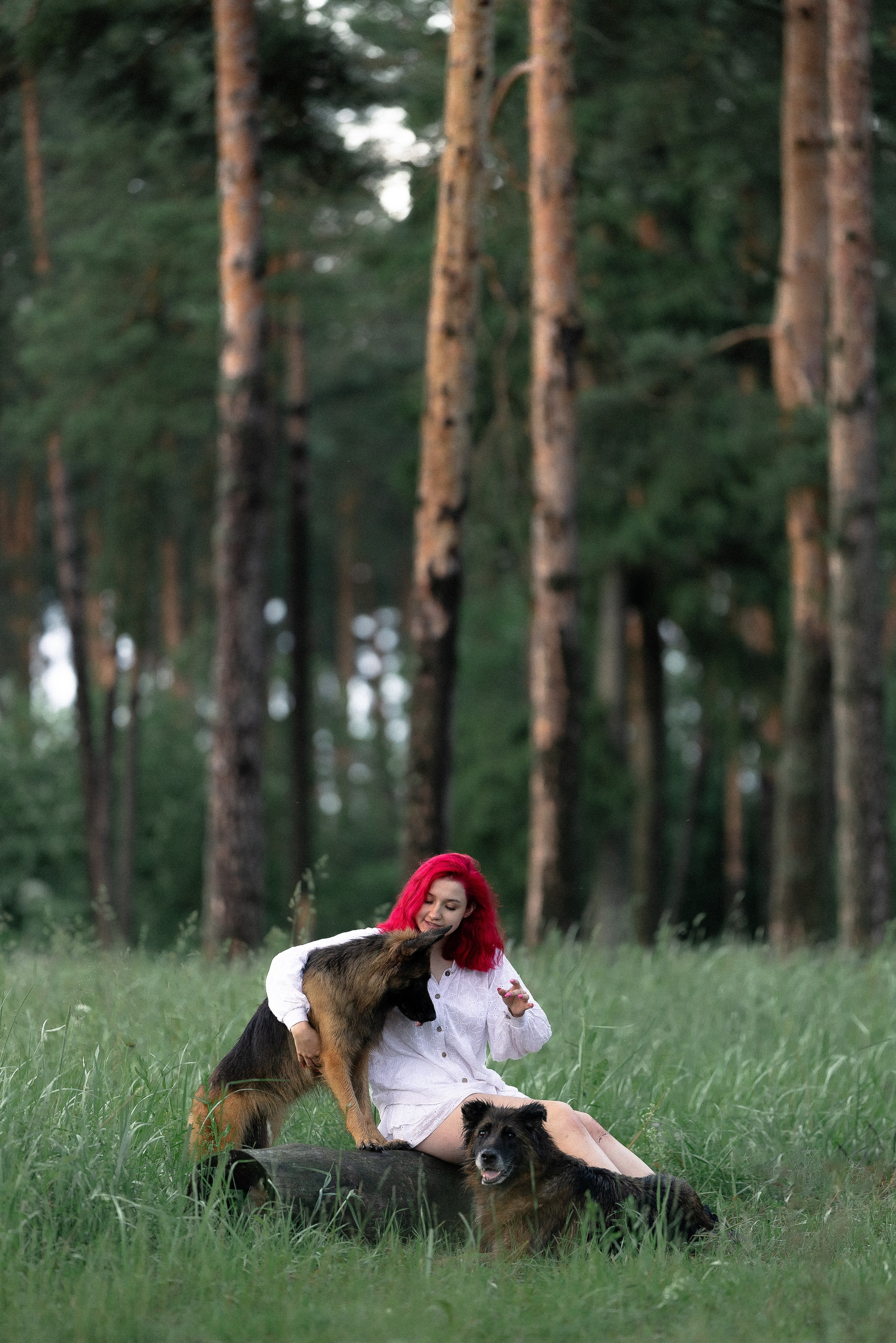 Алена, Фанни и Фрея. Фотограф и видеограф анималист Аганина Дарья