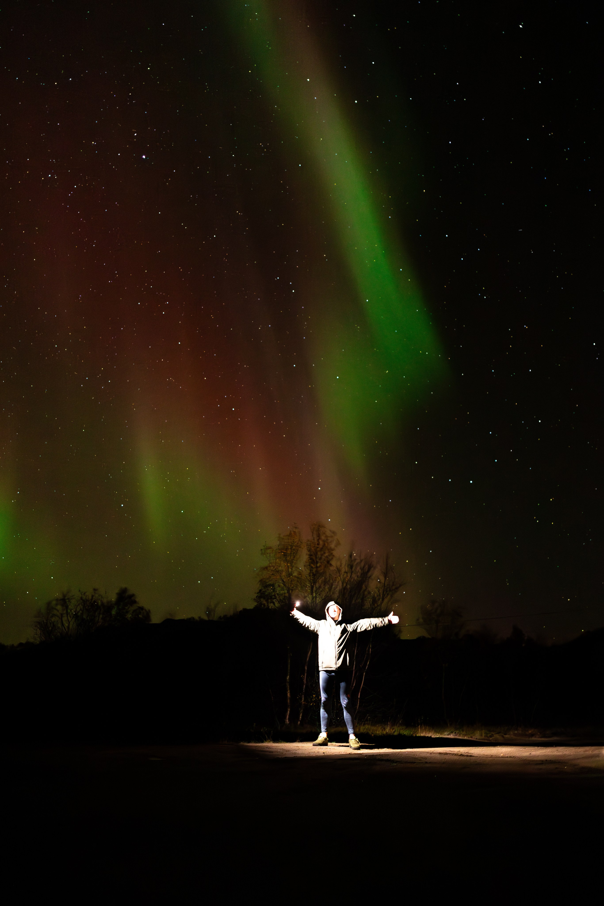 Кольский. Фотограф и видеограф анималист Аганина Дарья